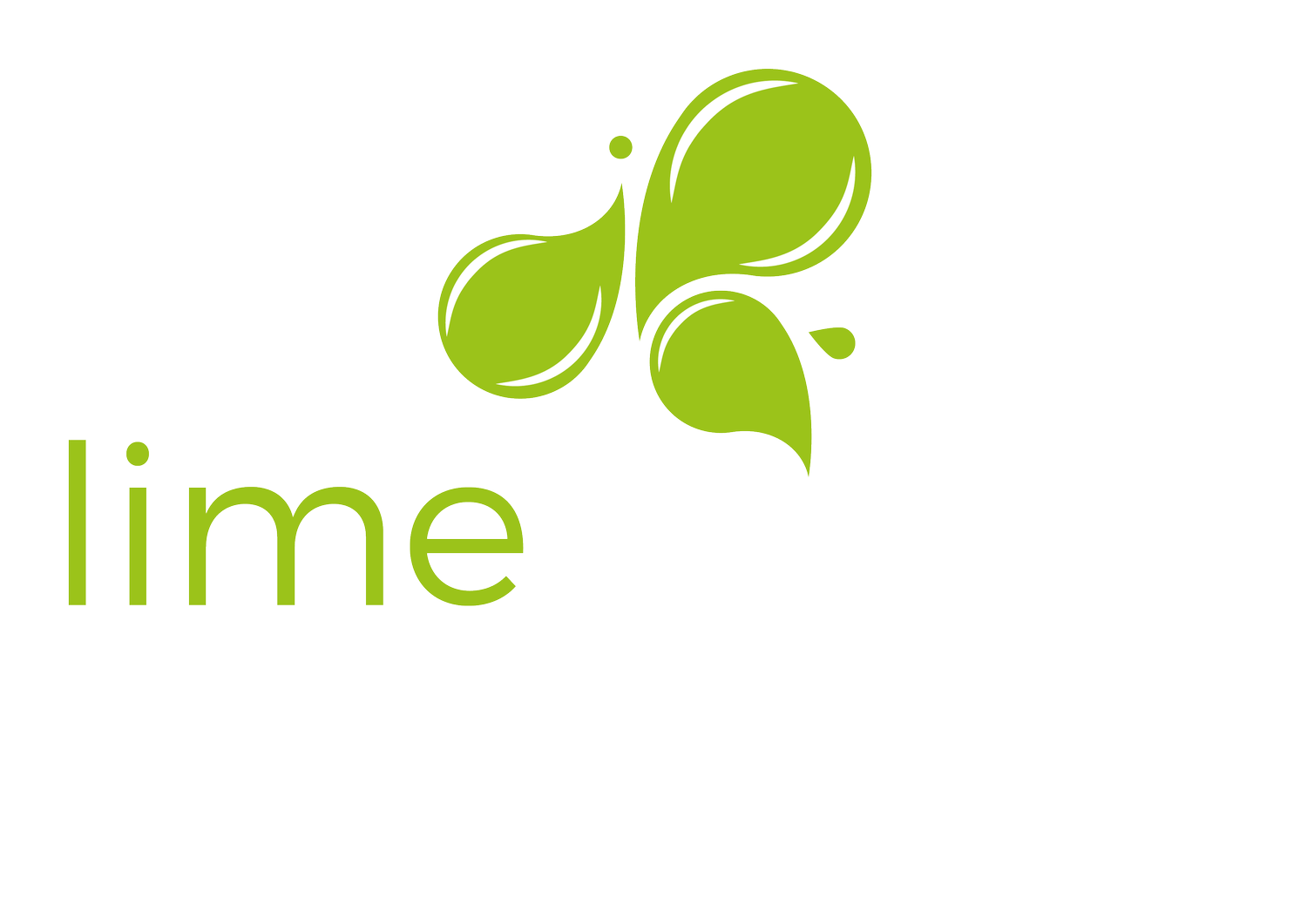 Brand Designer Lime Design Studio