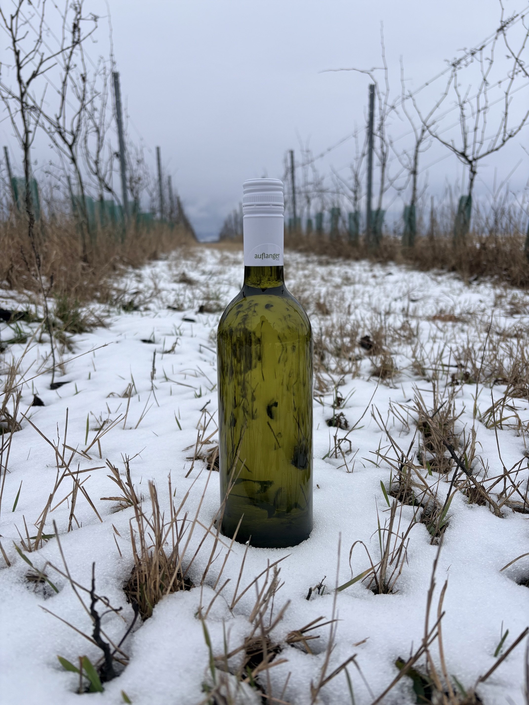 Winter 26