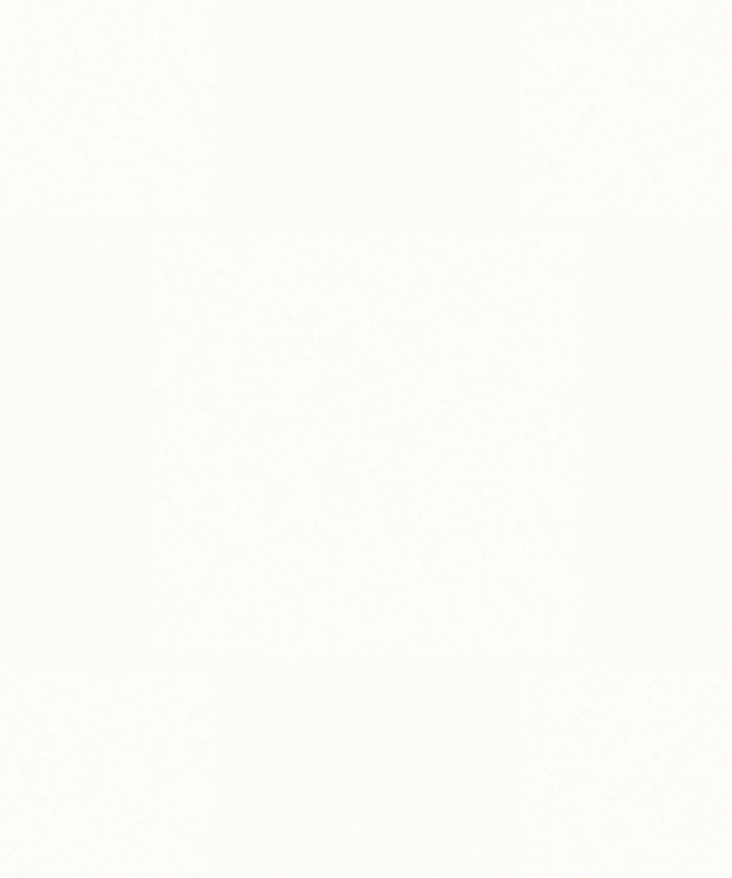 Snowdrift-FS (2).jpg