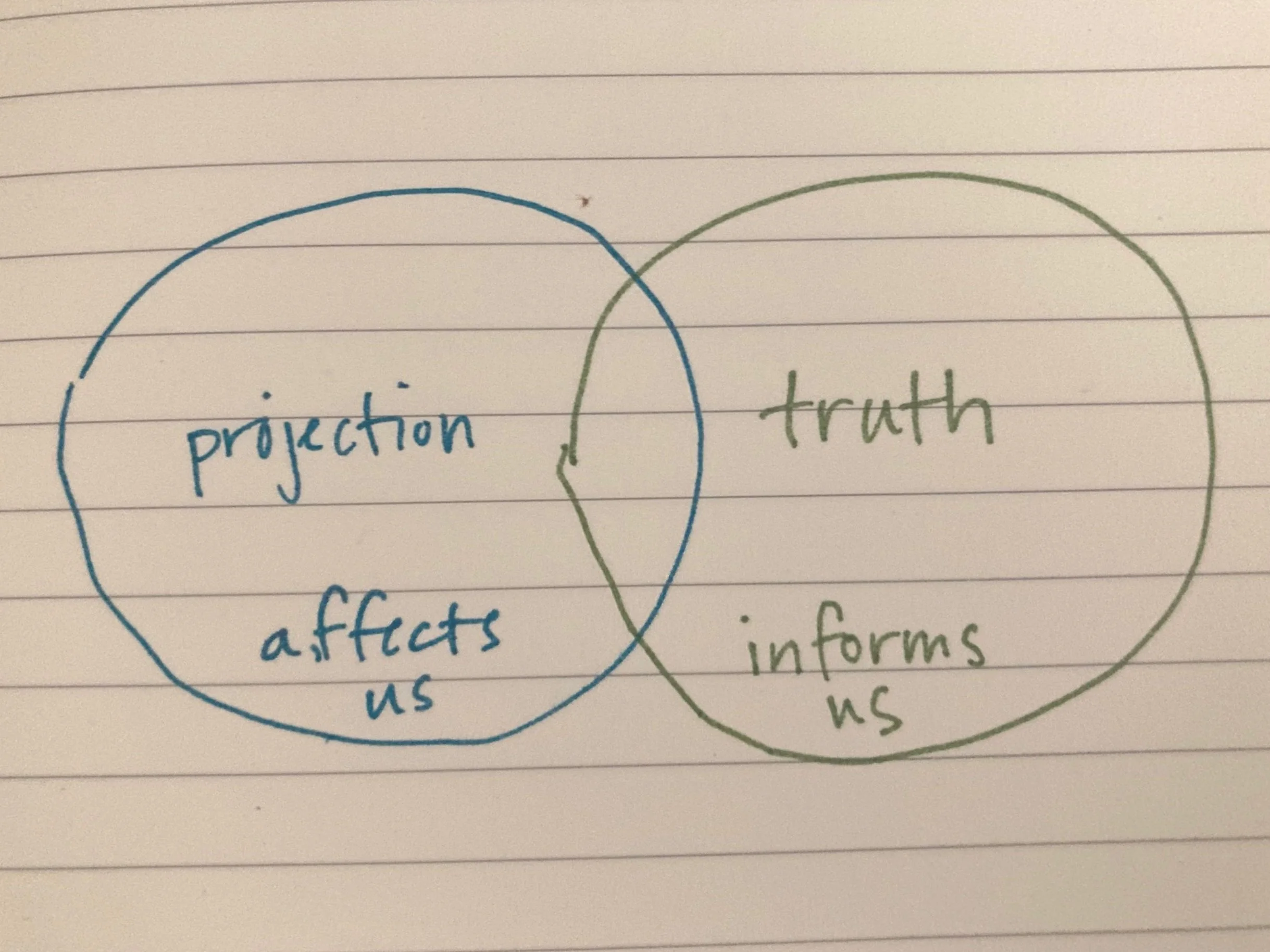 From leadership consultants in Boston Phenomenon of projection Blog