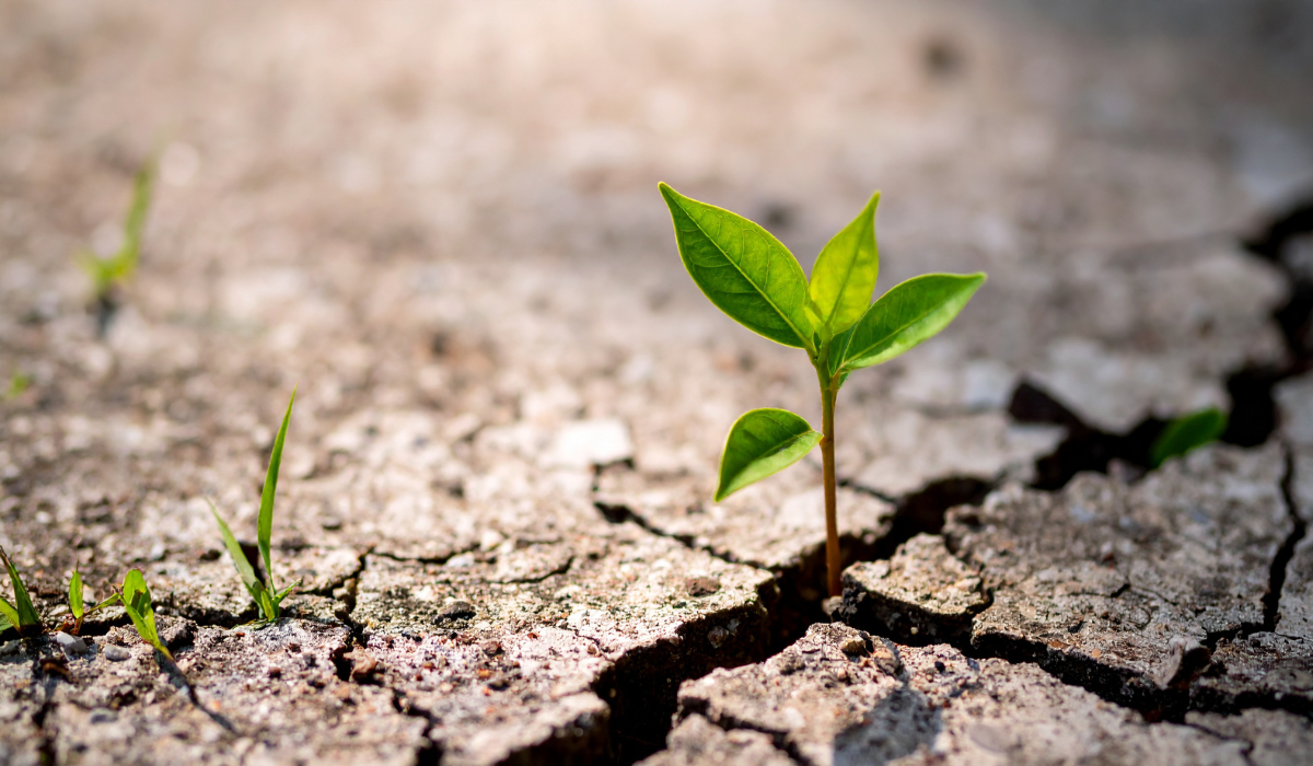 Leader practicing resilience through mindset exercises and daily intentional action to navigate uncertainty