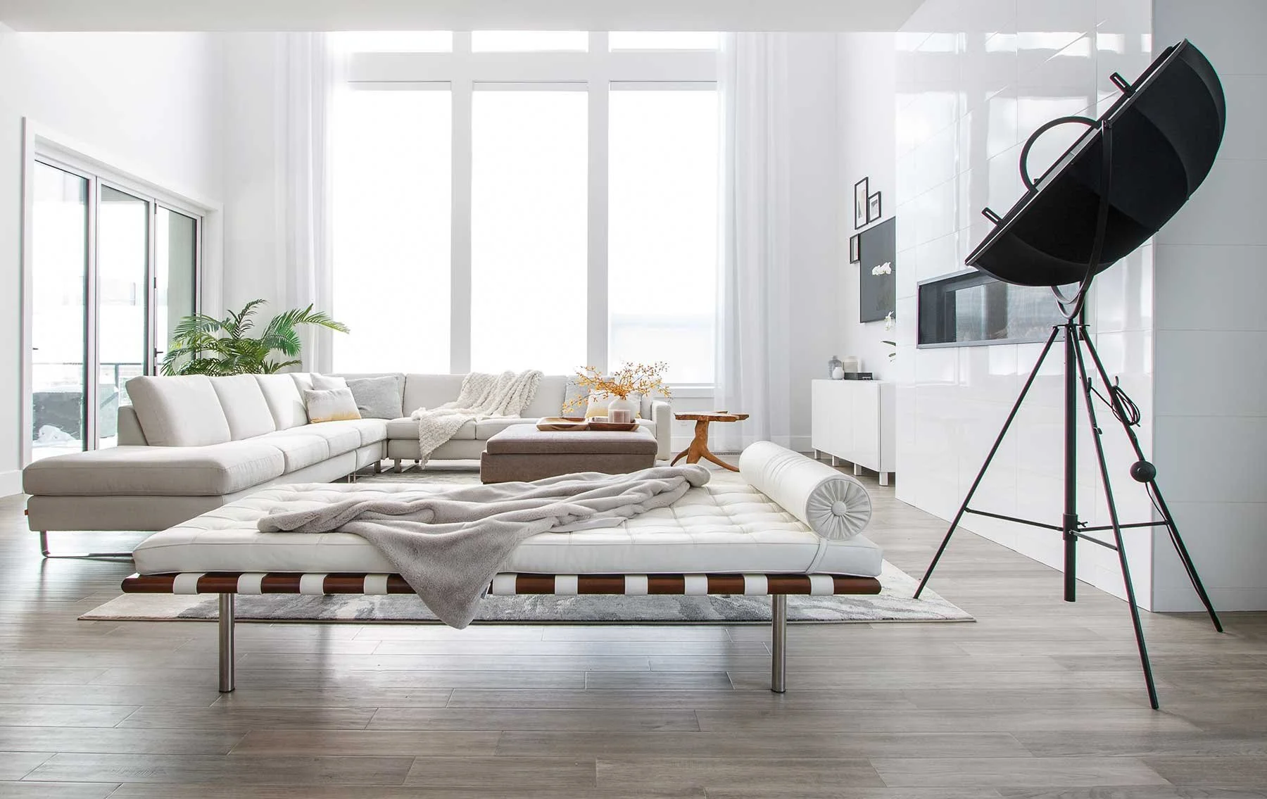 Serene Contemporary Oasis