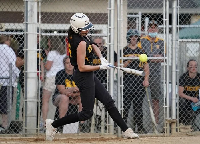 Lehigh Valley softball players well-represented on all-state team