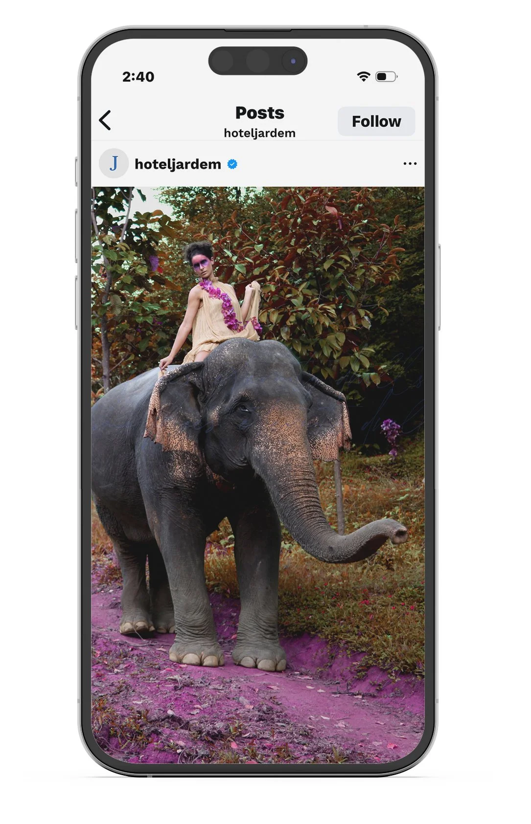 elephant posrt12.jpg