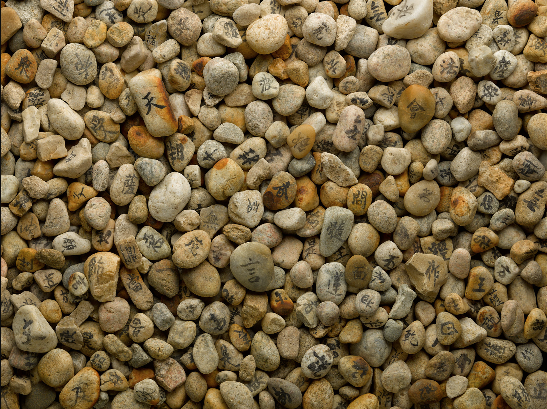 Sutra and Bible: an Interview with Duncan Ryūken Williams