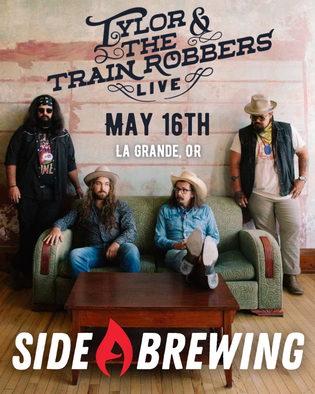 Tylor and the Train Robbers
