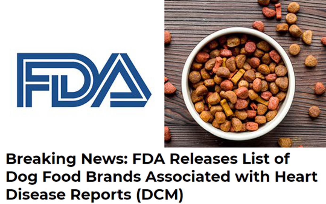 Dog Nutrition What are Grain Free Diets and are they Safe? — DogMa