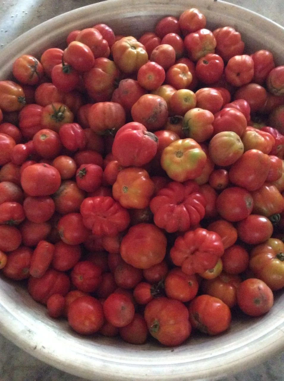 WhatsApp Image 2025-09-20 at 8.37.45 PM (5).jpeg