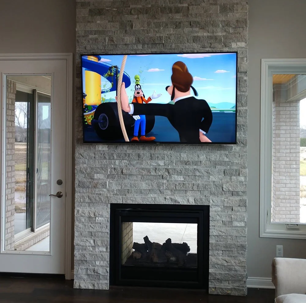 TV screen displaying an animated scene with Goofy and a man in a black suit on a boat, with a roller coaster in the background.