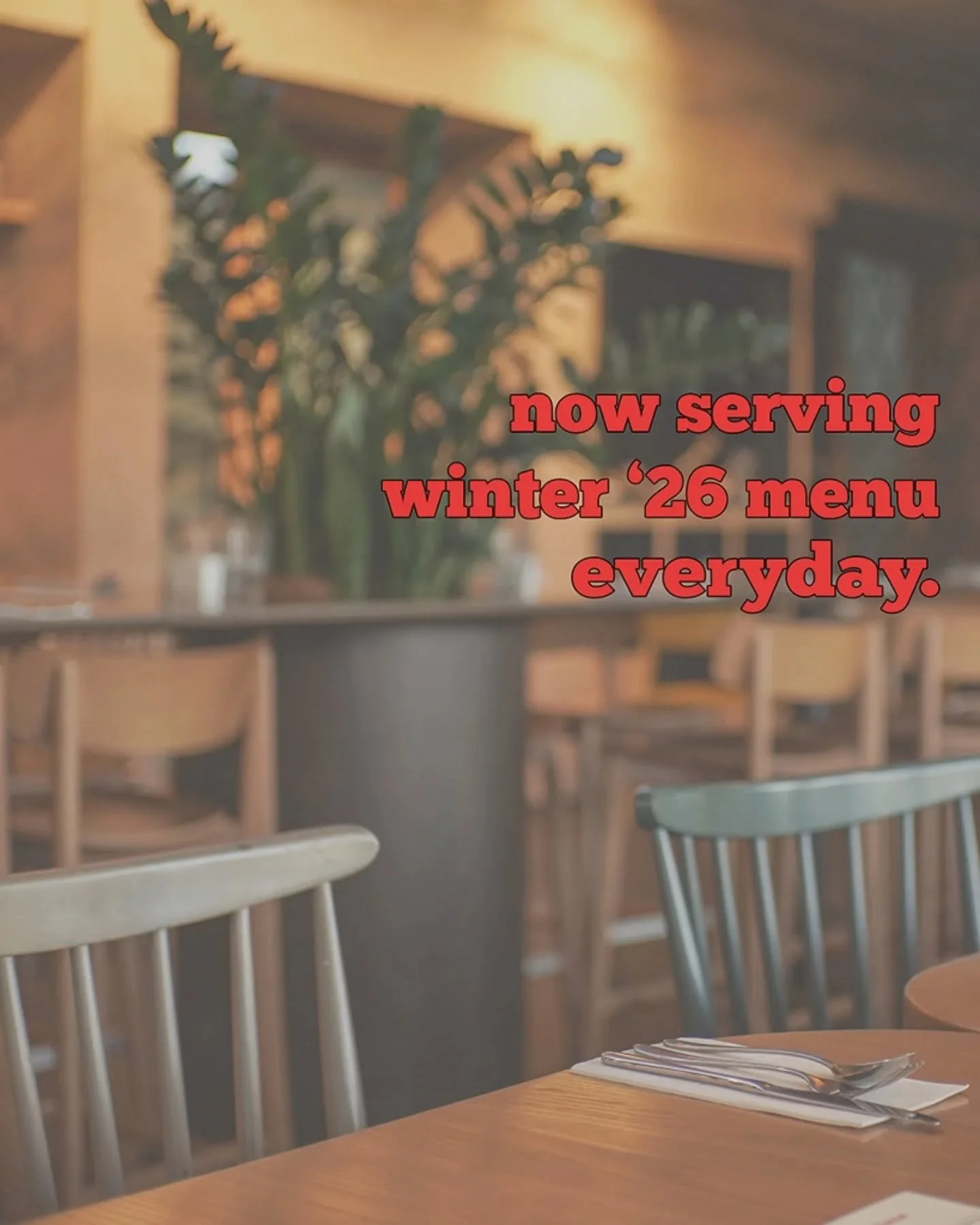 warm your bones with some lush new winter plates - 8 til 4, everyday.