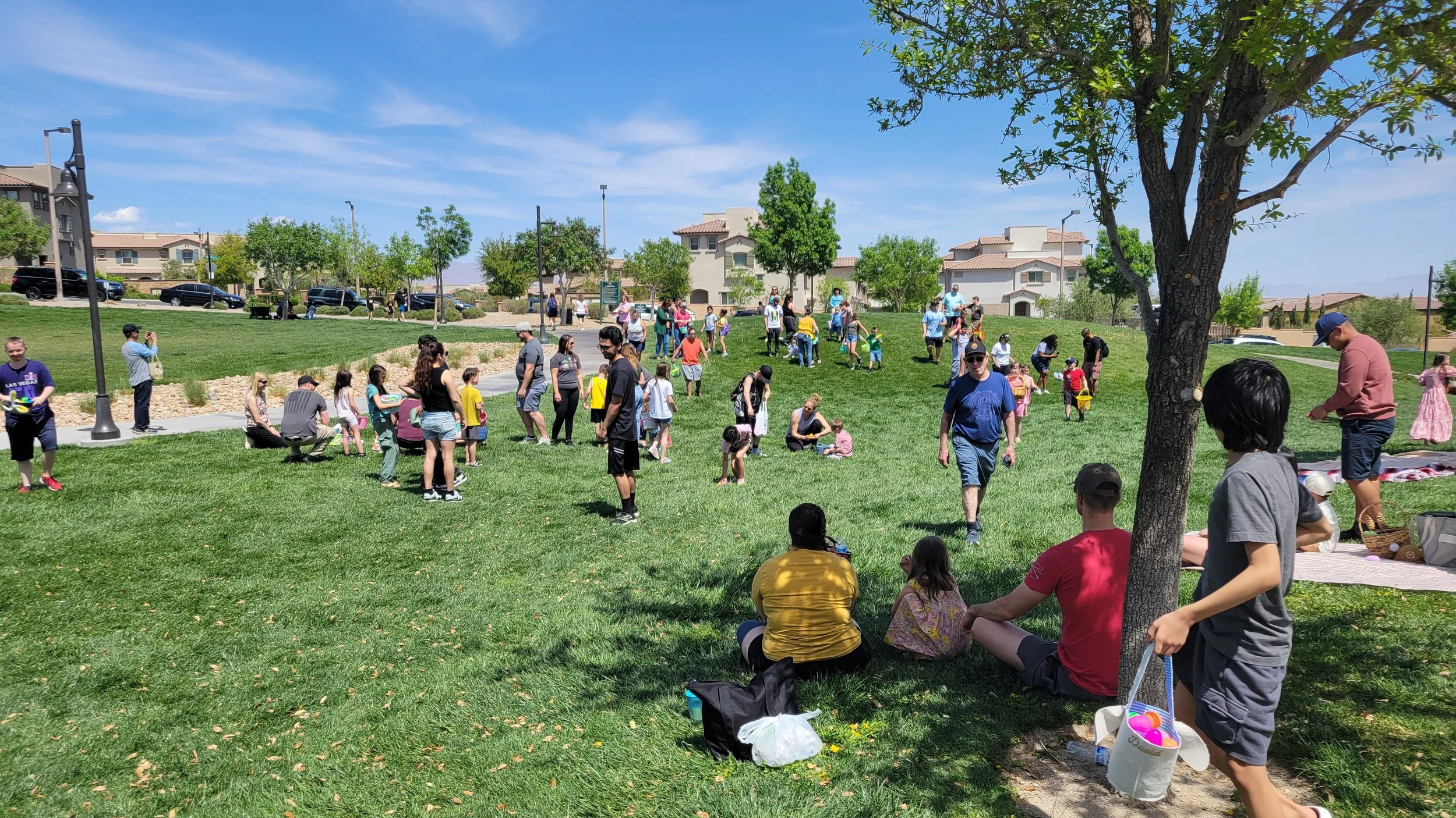 Annual Egg Hunt for Down Syndrome Connections Community (Free - all ages)