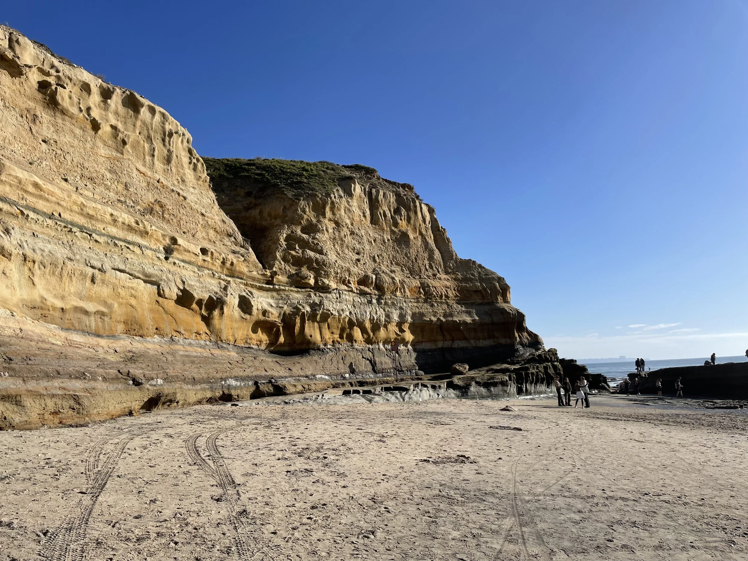 Torrey Pines beach