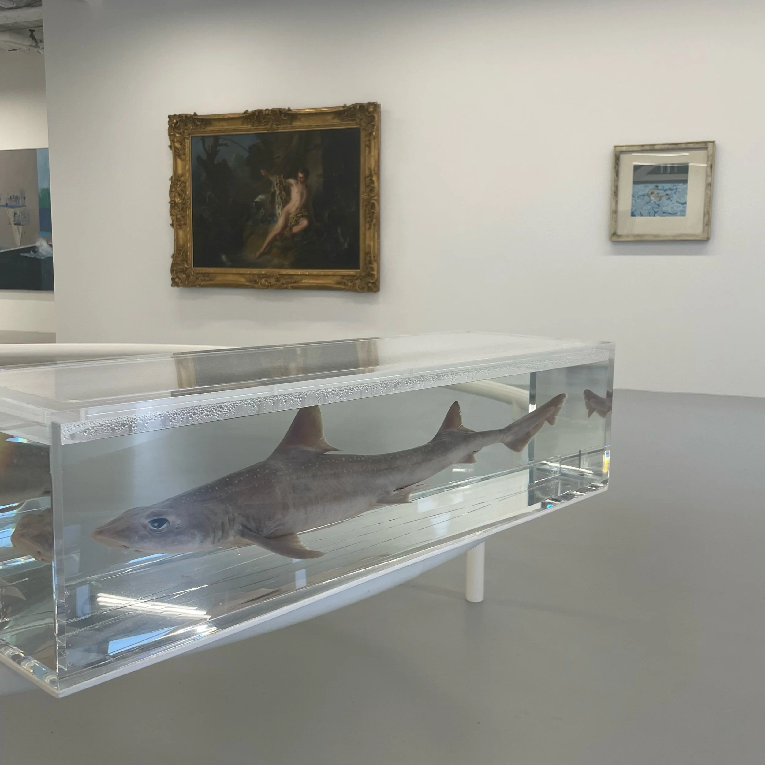 Damien Hirst (shark), Jean-Baptiste Oudry (L), David Hockney (R)