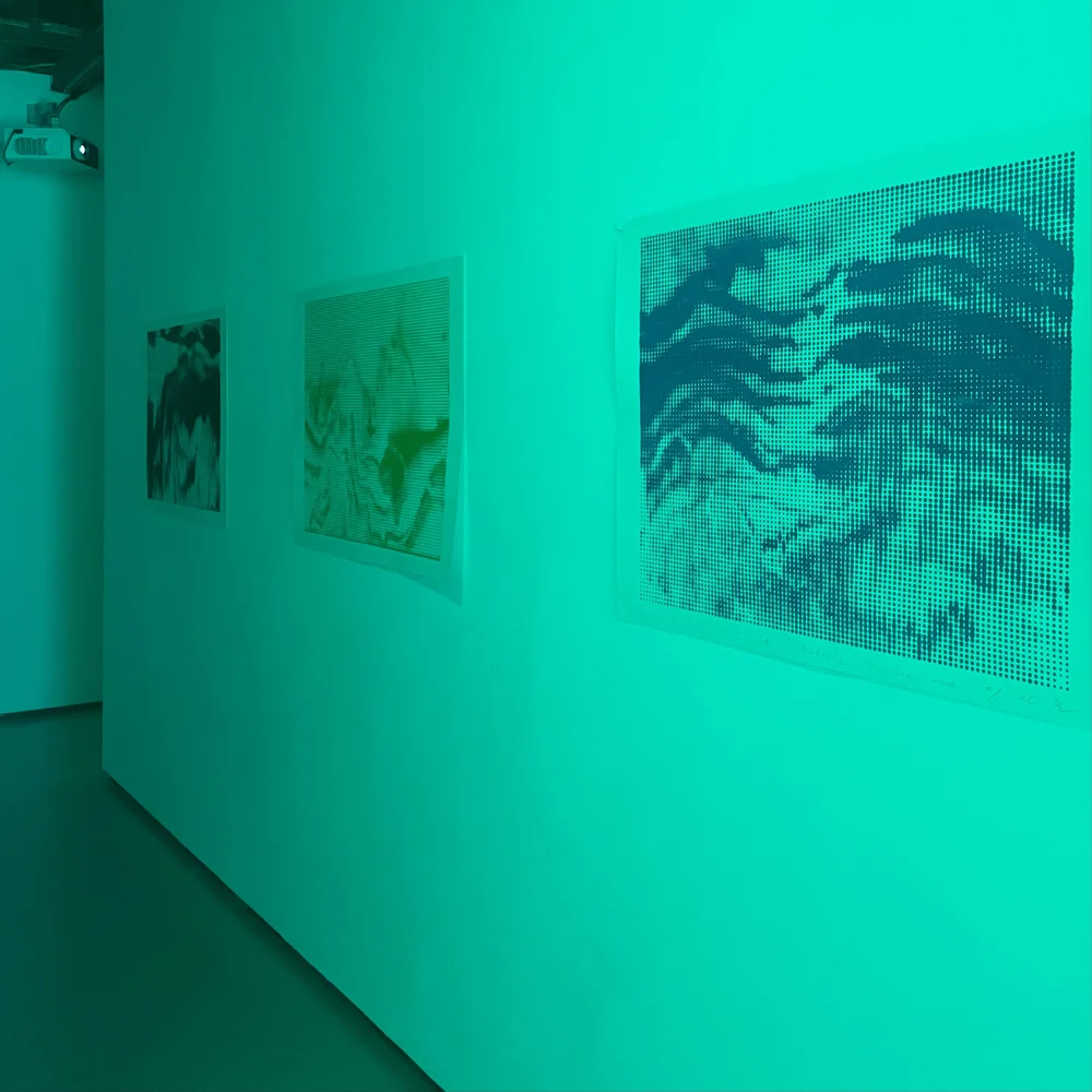 Audible Garden by Jinjoon Lee (review) — London Art Roundup