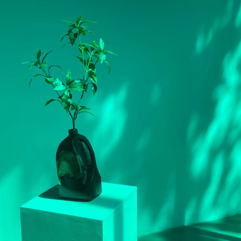 Audible Garden by Jinjoon Lee (review) — London Art Roundup
