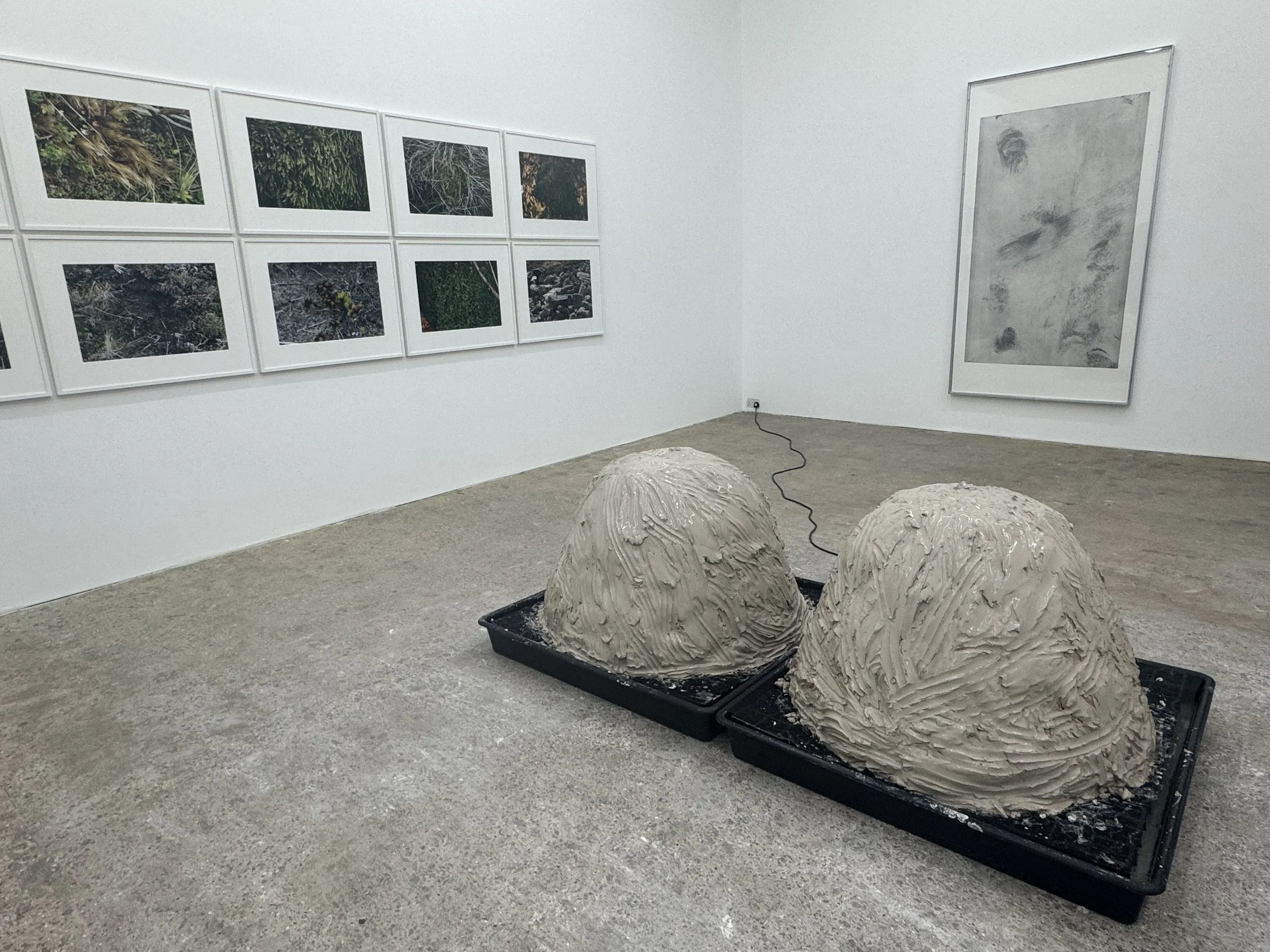 10 - Hollybush Gardens