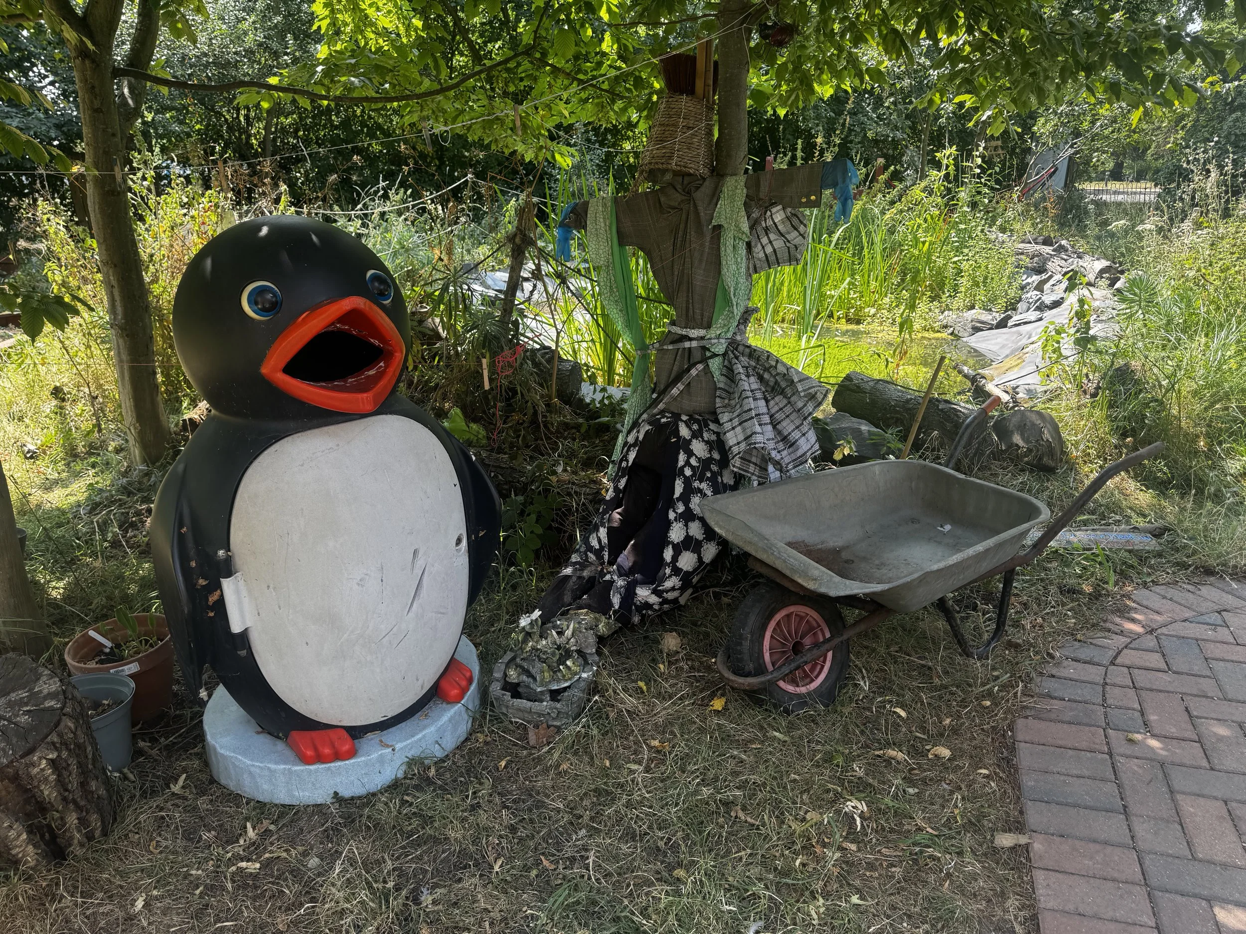 IMG_7972.jpeg