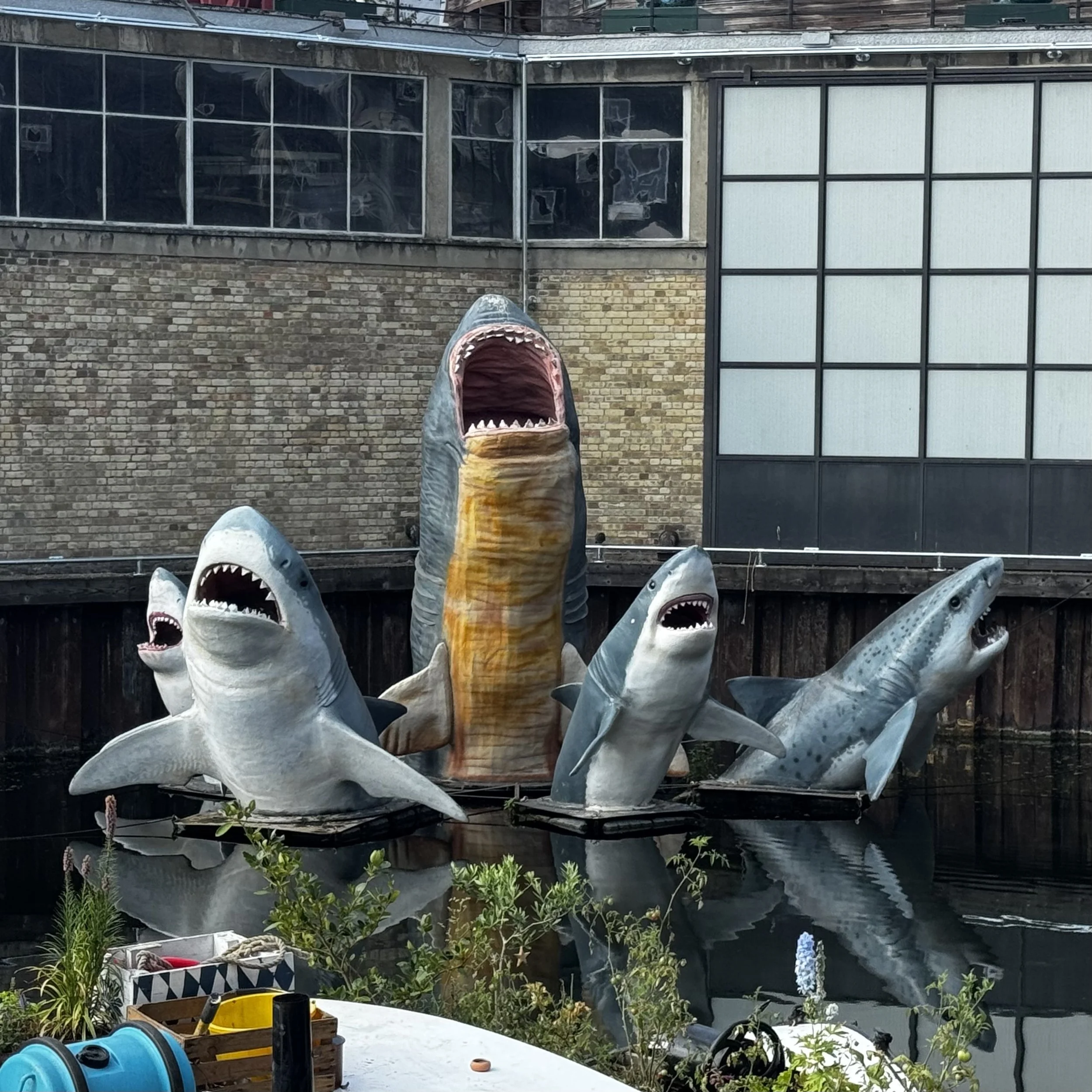 SHARKS! (2020)