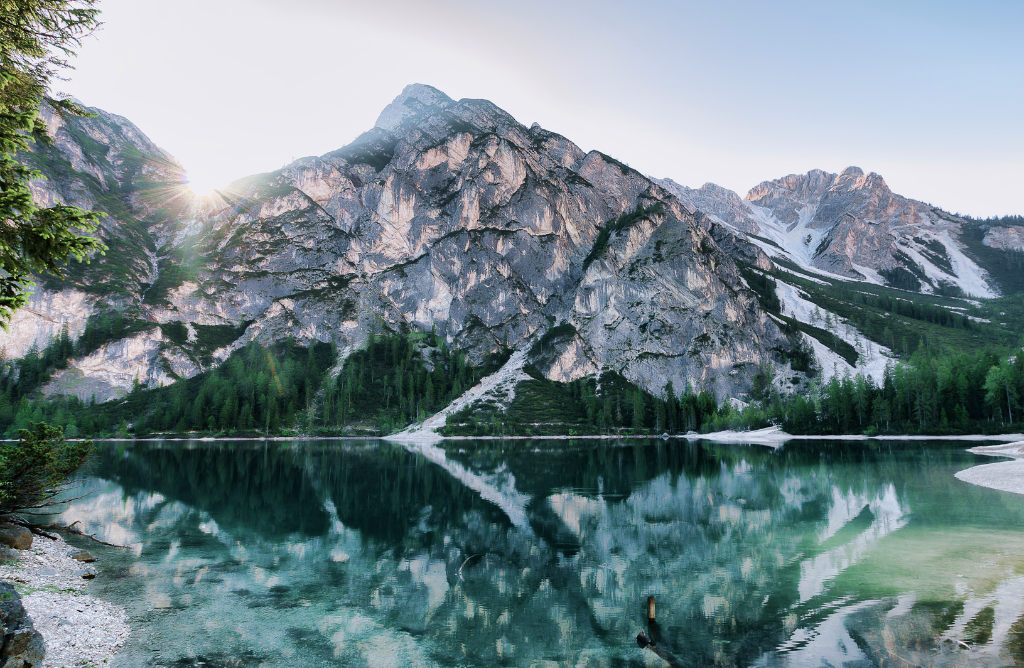 Thanking Chesapeake ADHD and Looking Toward the Future