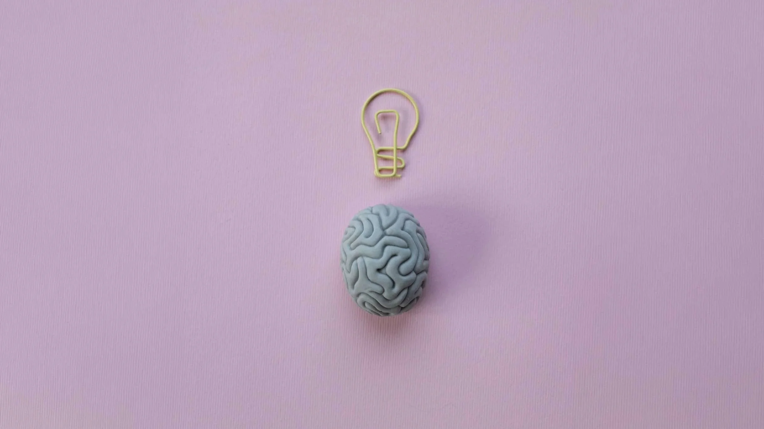 Insight into the ADHD Brain