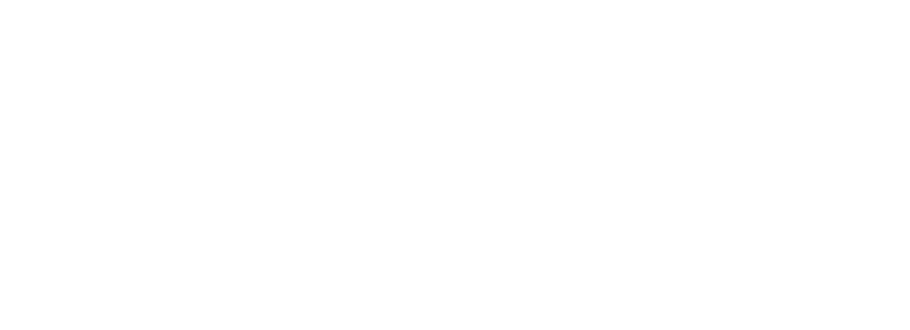 SG_logo_white_FNL.png