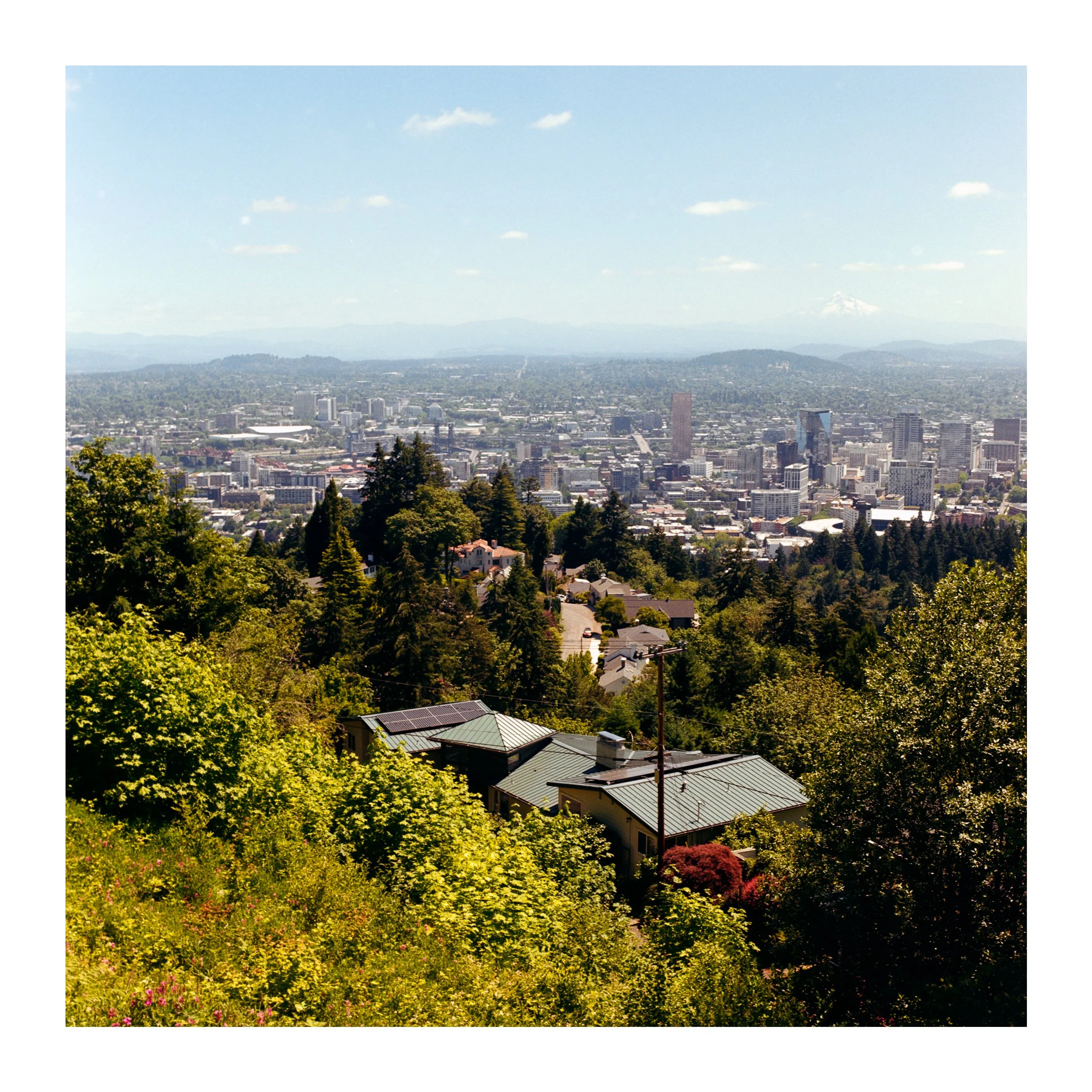 PortlandCityscape2026.jpg