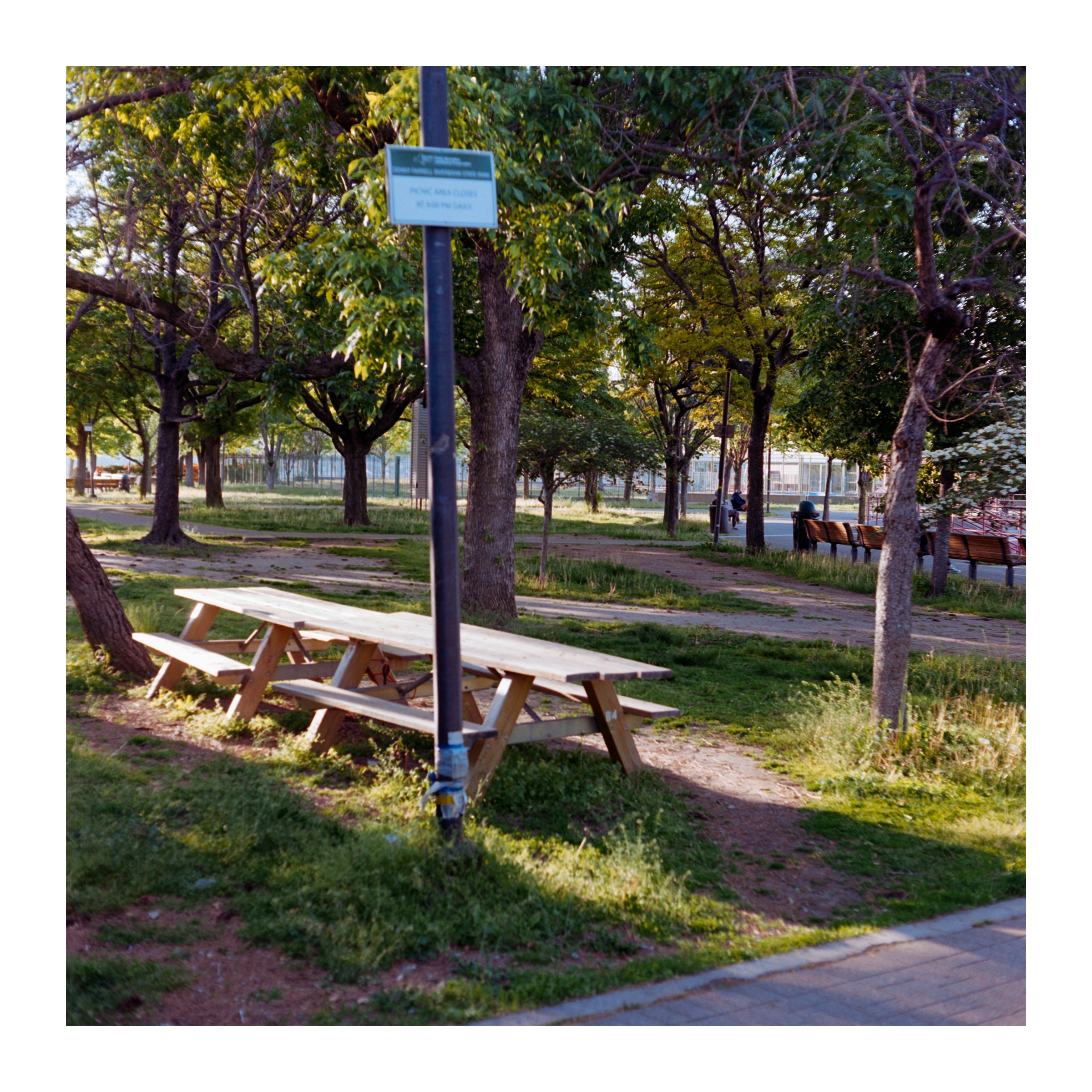 RiverbankPreferredPathBenches2026.jpg