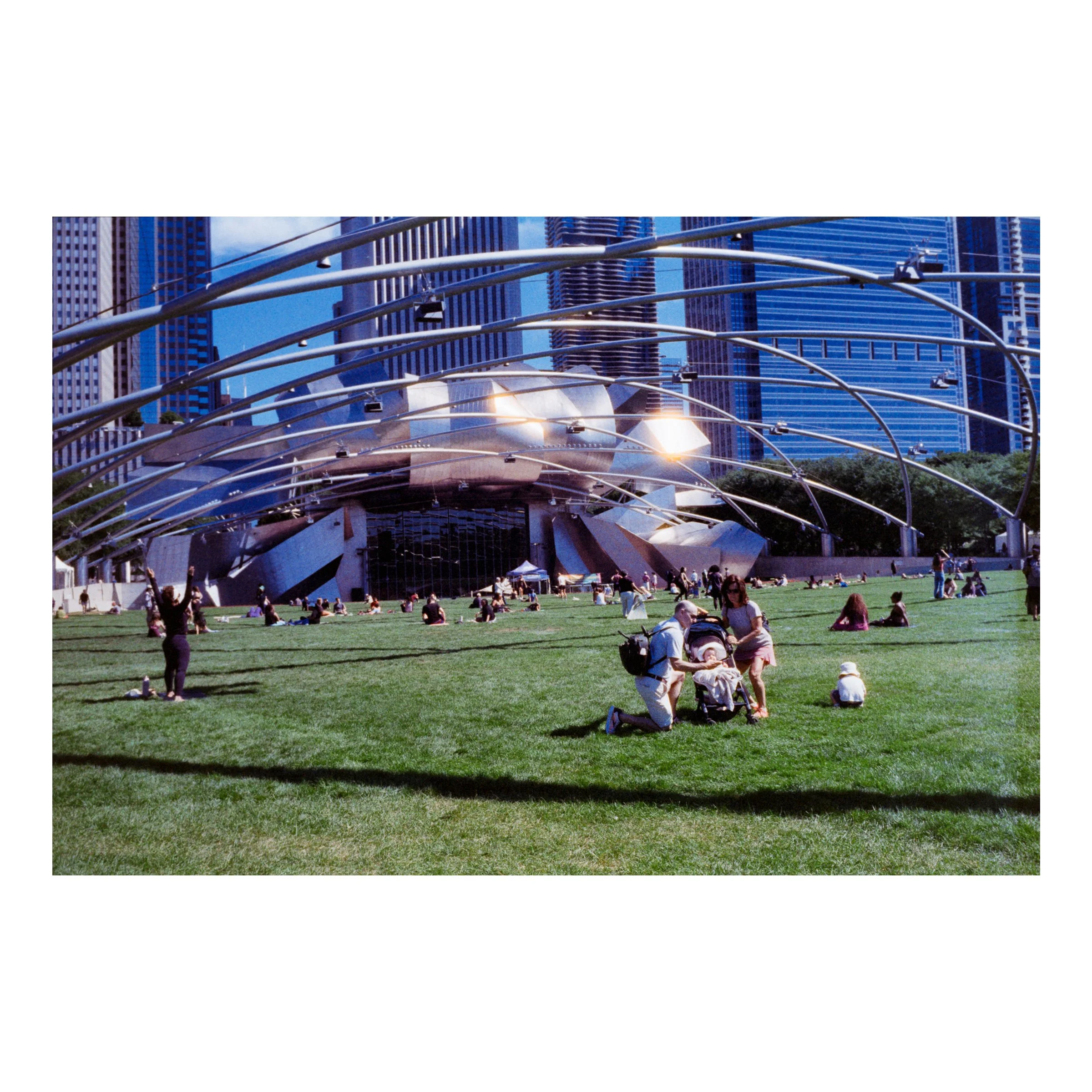 ChicagoGrassyLawn2026.jpg