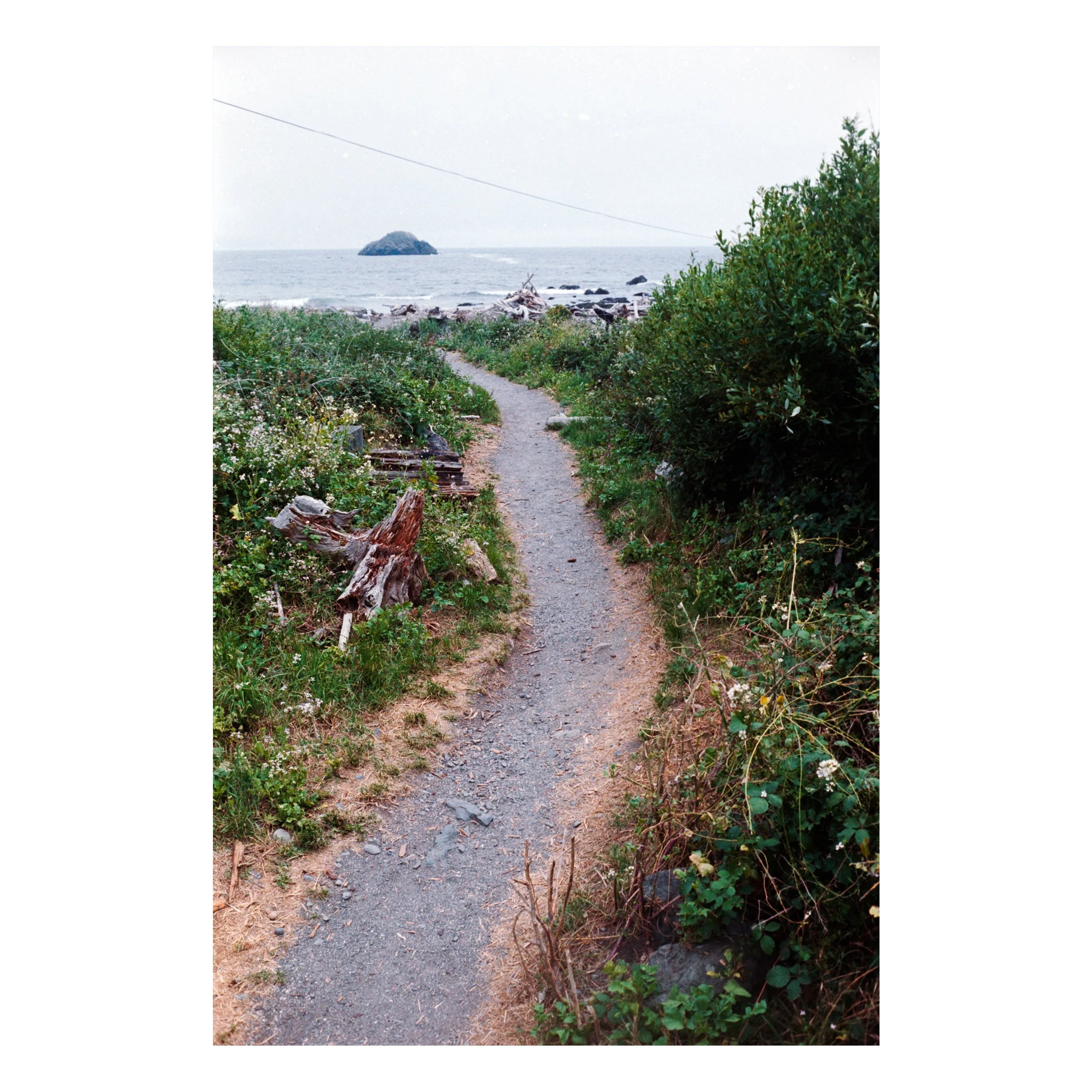 PCHPathwaytoBeach2026.jpg