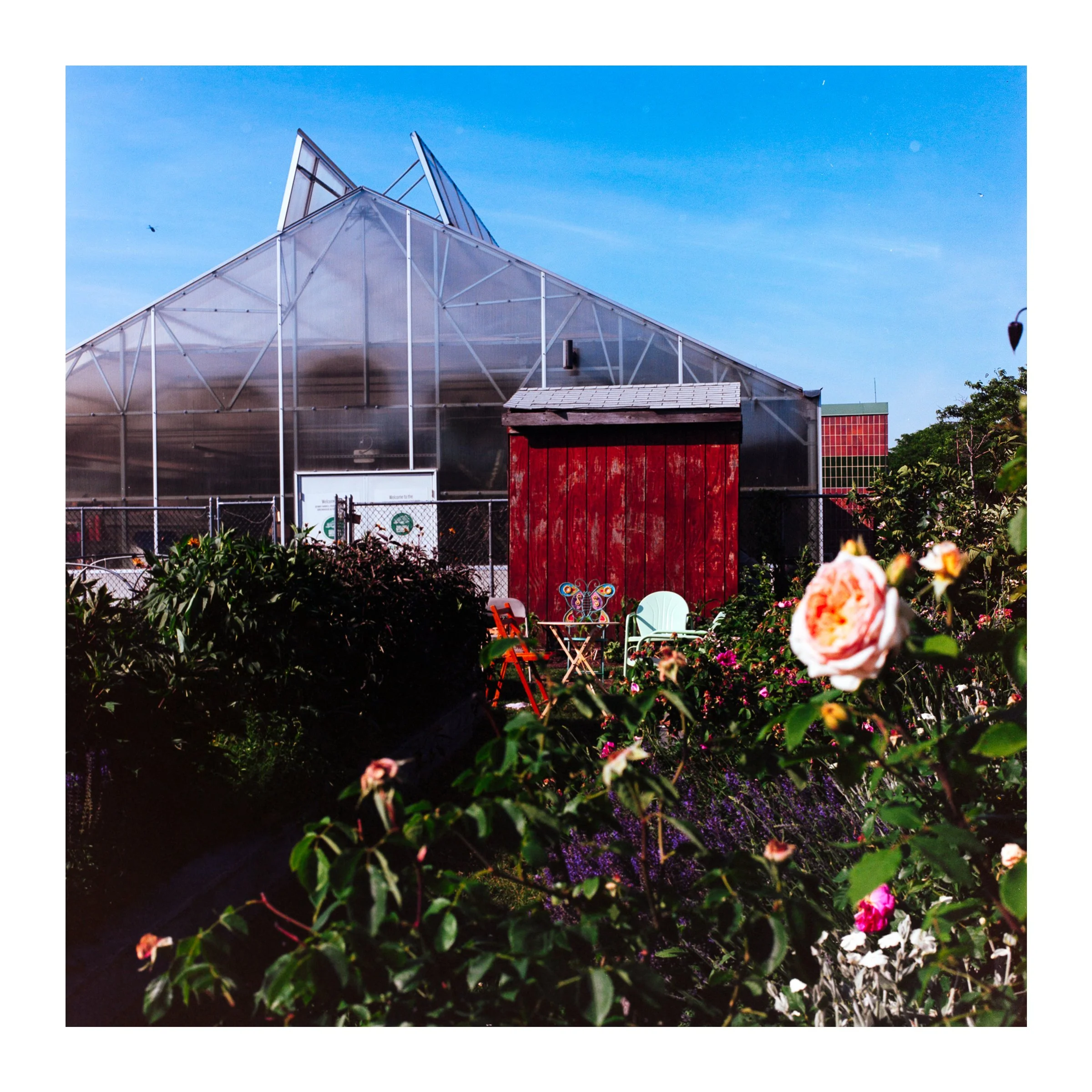 RiverbankParkGarden2026.jpg