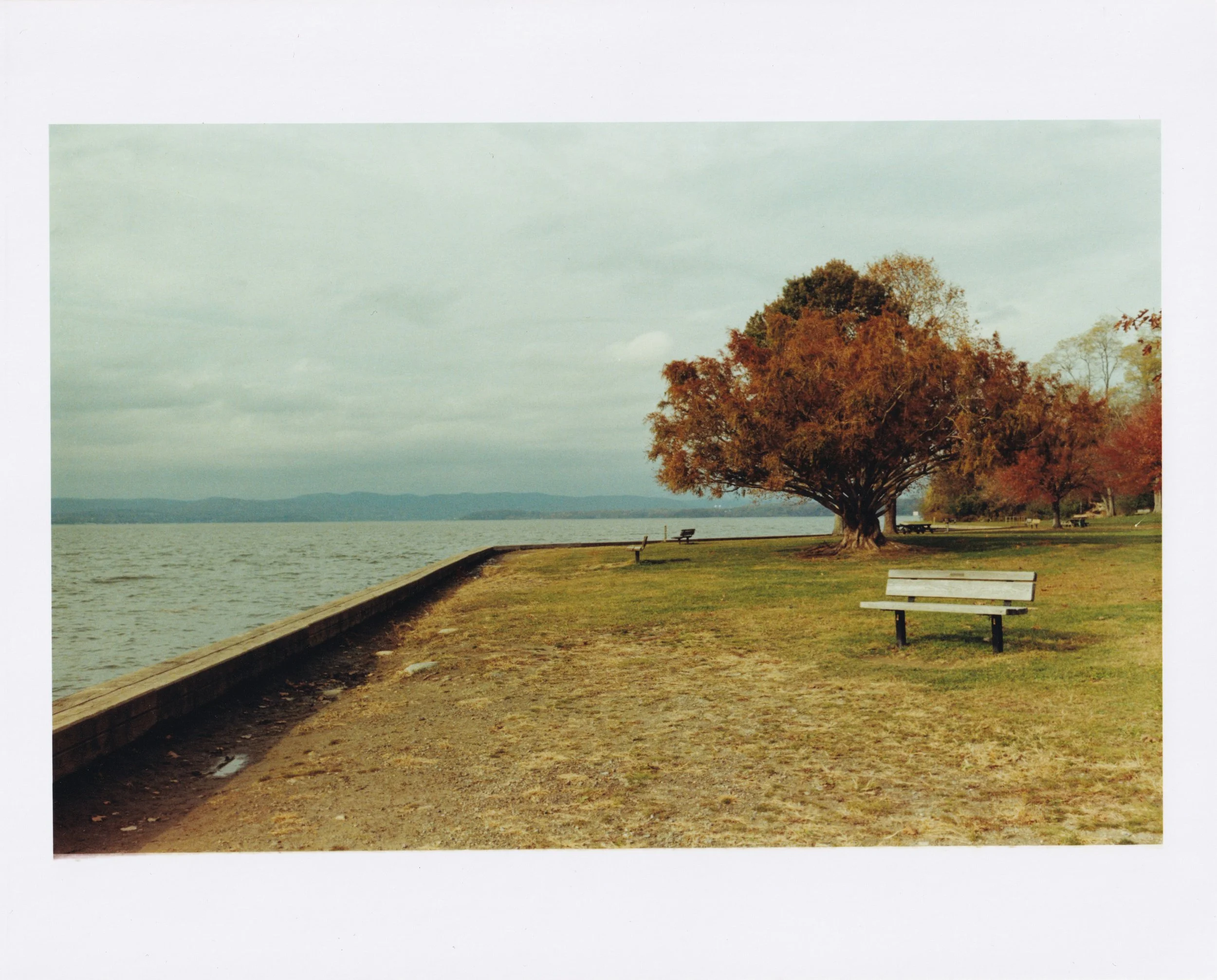 Croton Point Park Bench Print
