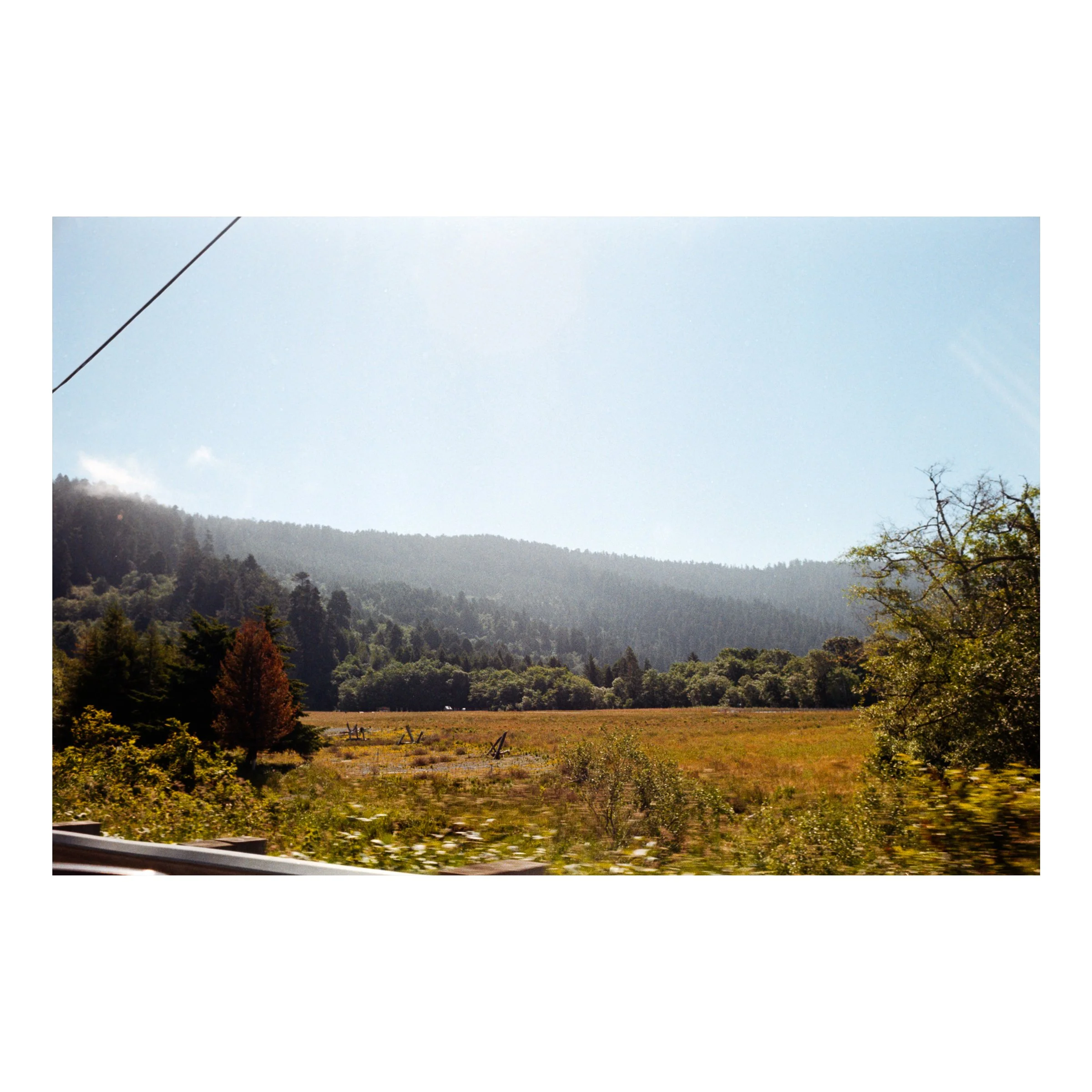 RedwoodNationalParkLandscape2026.jpg