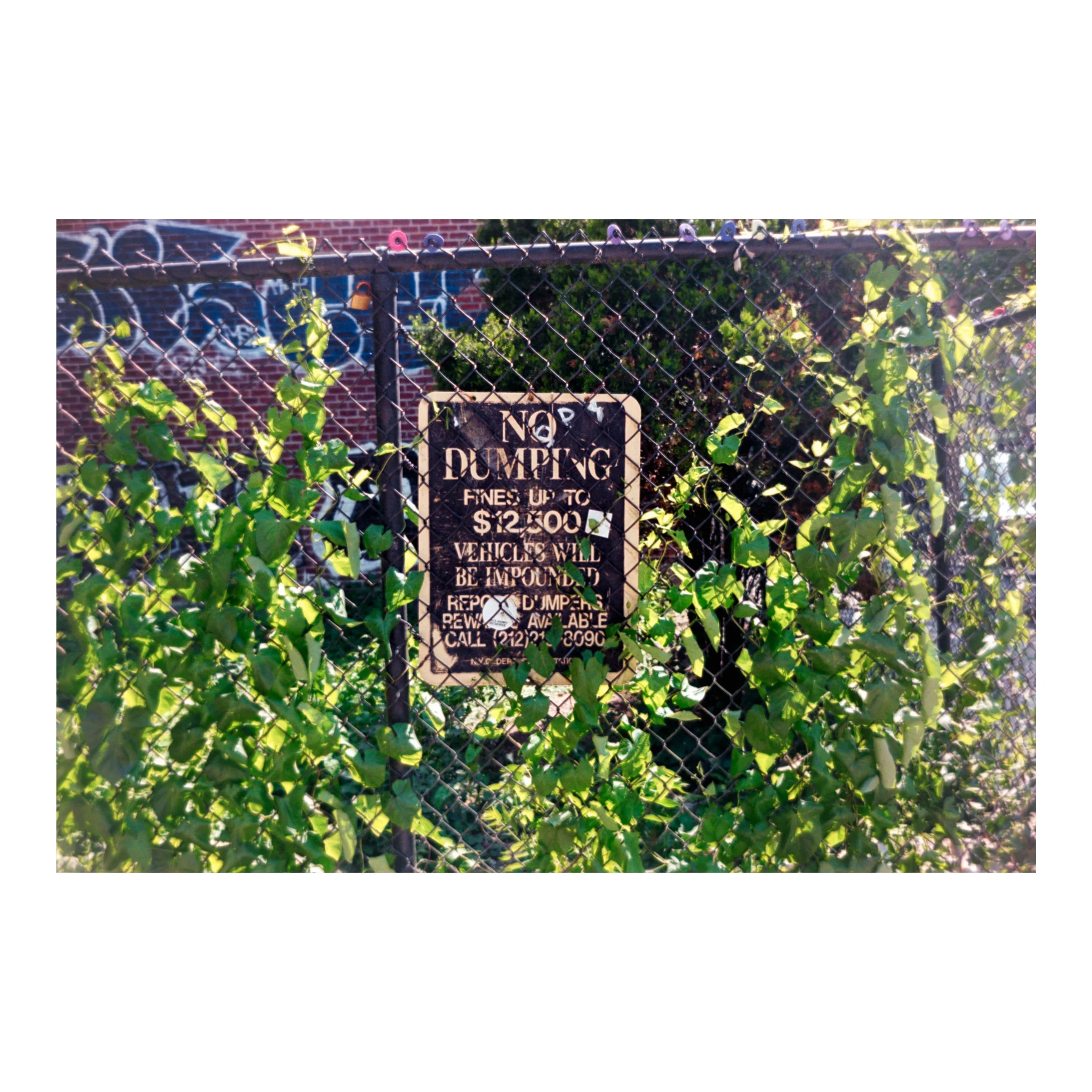 LESNoDumpingSignLeaves2026.jpg