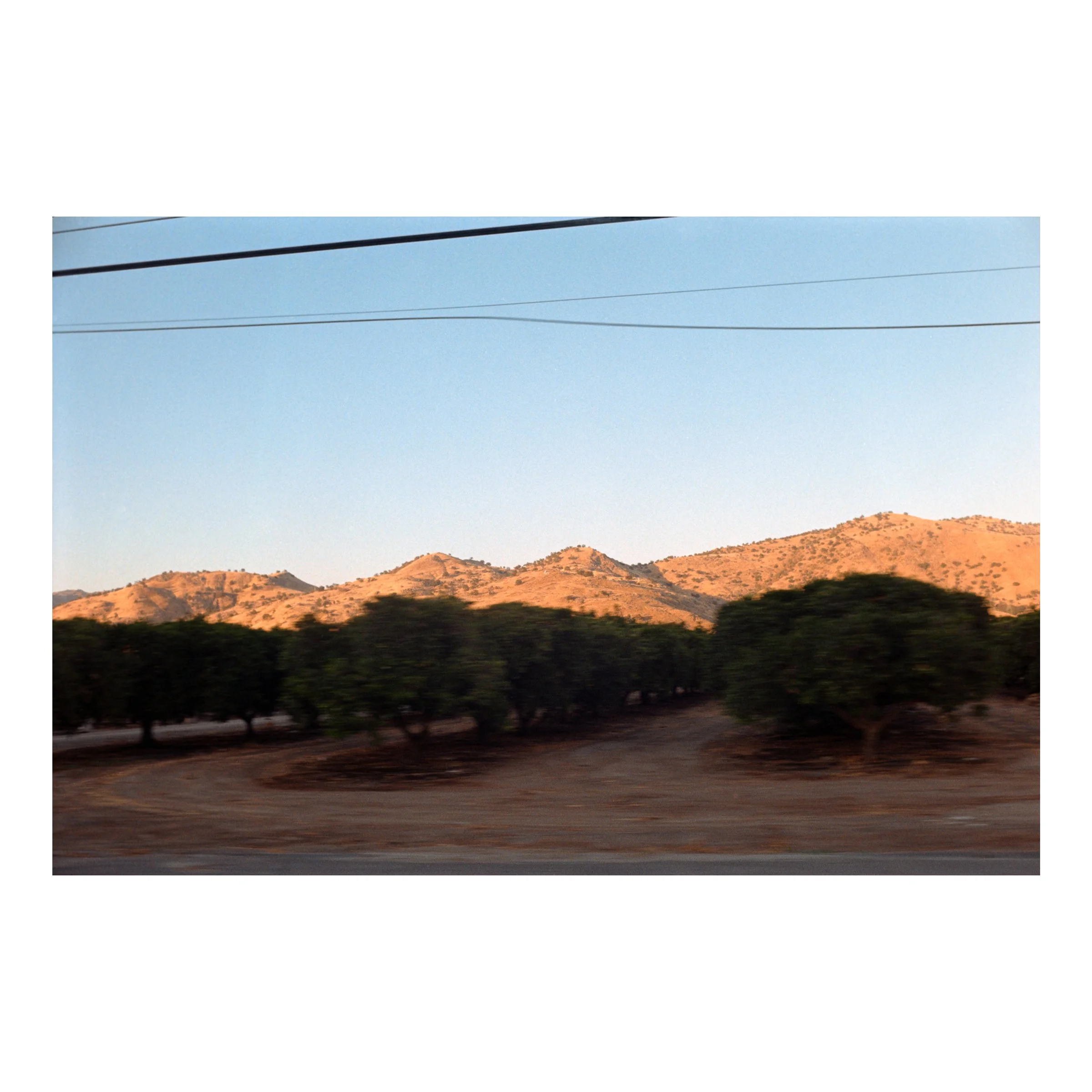NearSequoiaOrangeTreesSunset2026.jpg