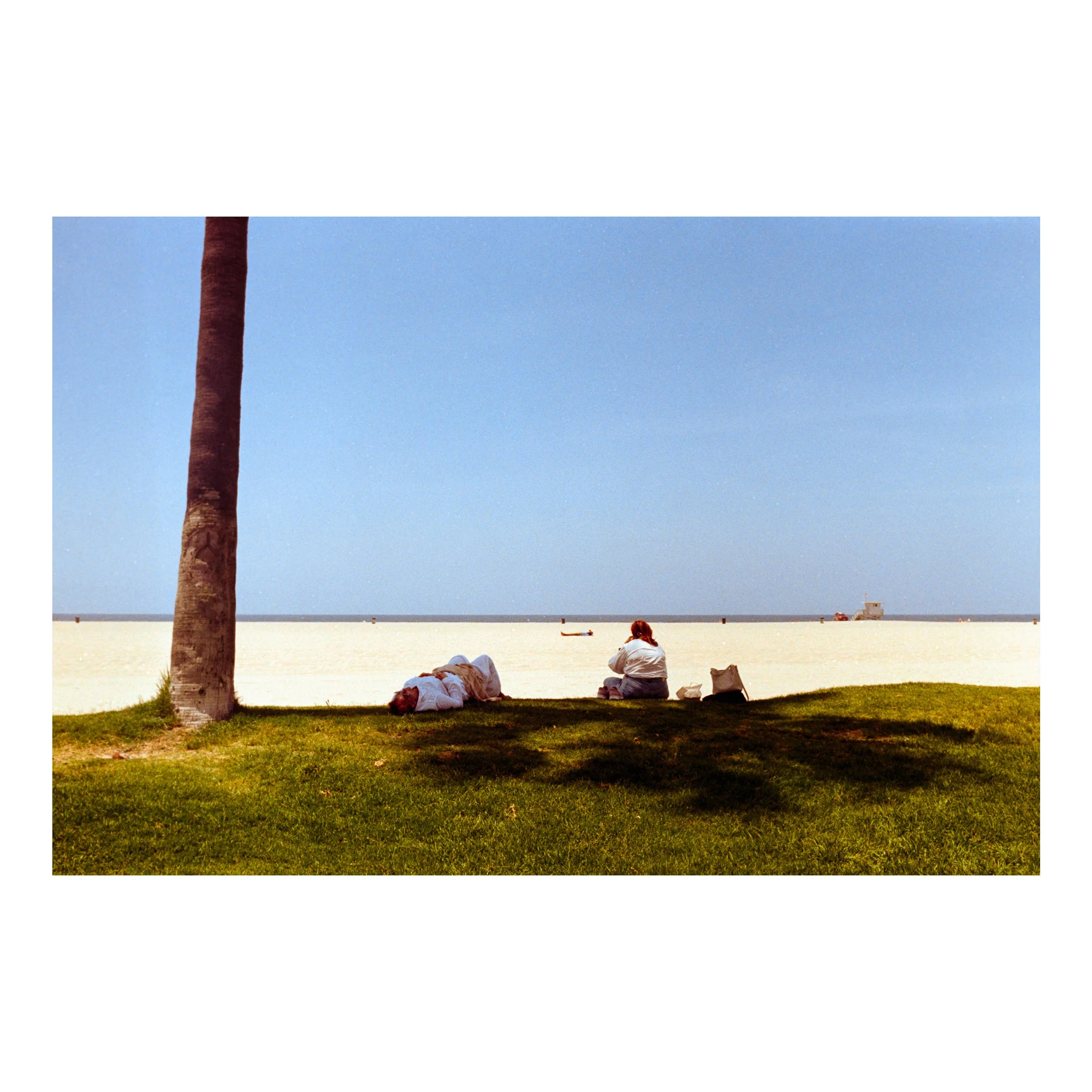 VeniceBeachPeopleRelaxing2026.jpg