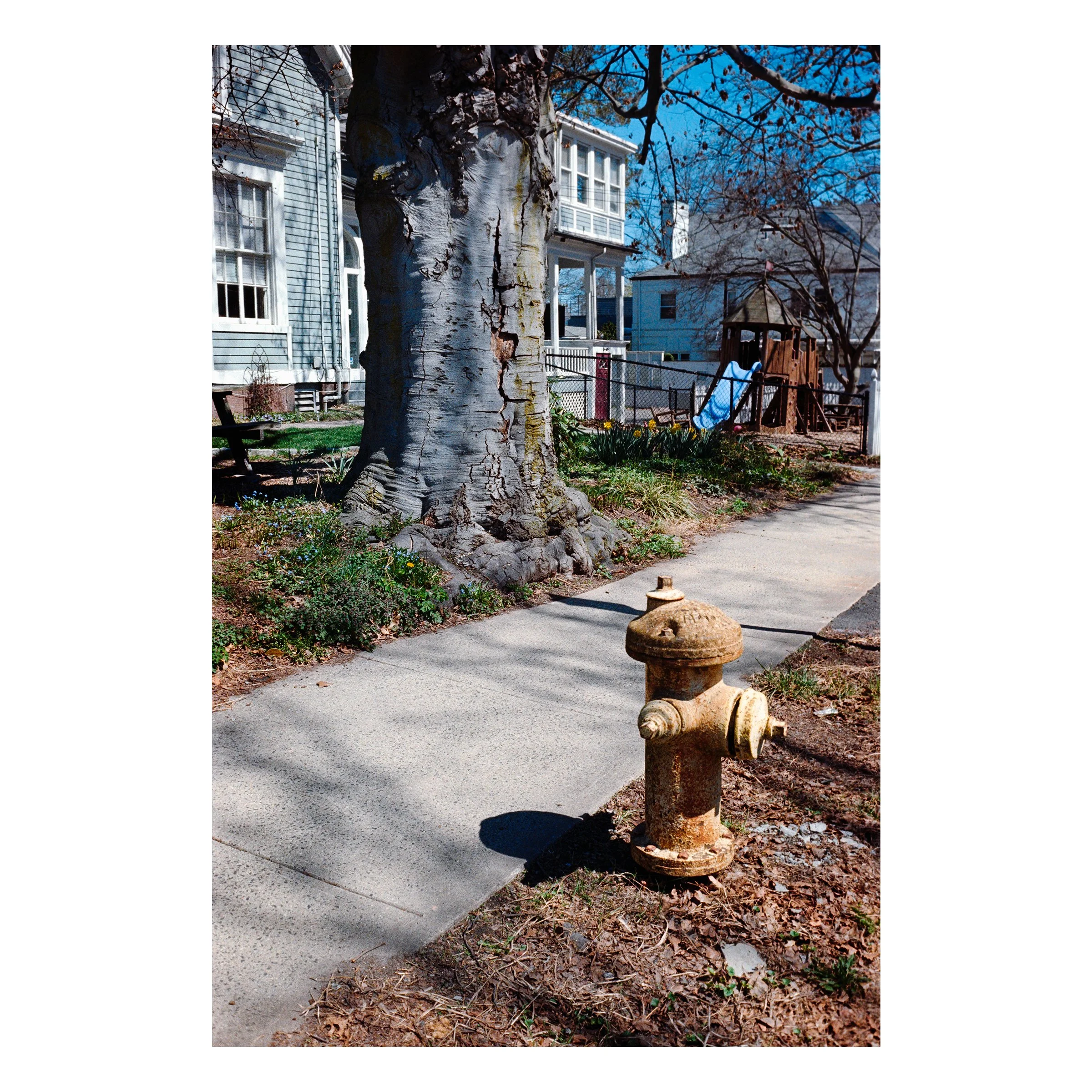 HouseFireHydrant2026.jpg