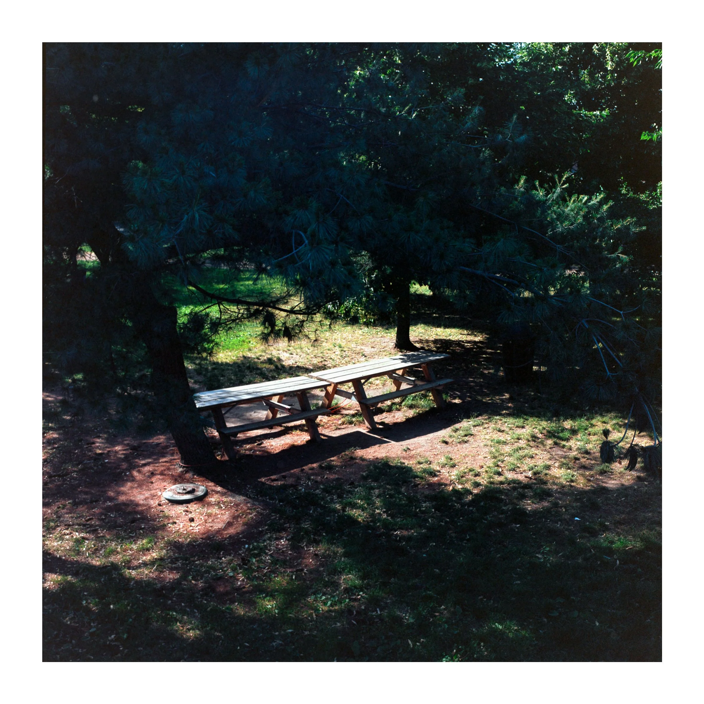 RIverbankParkPicnicBenches2026.jpg