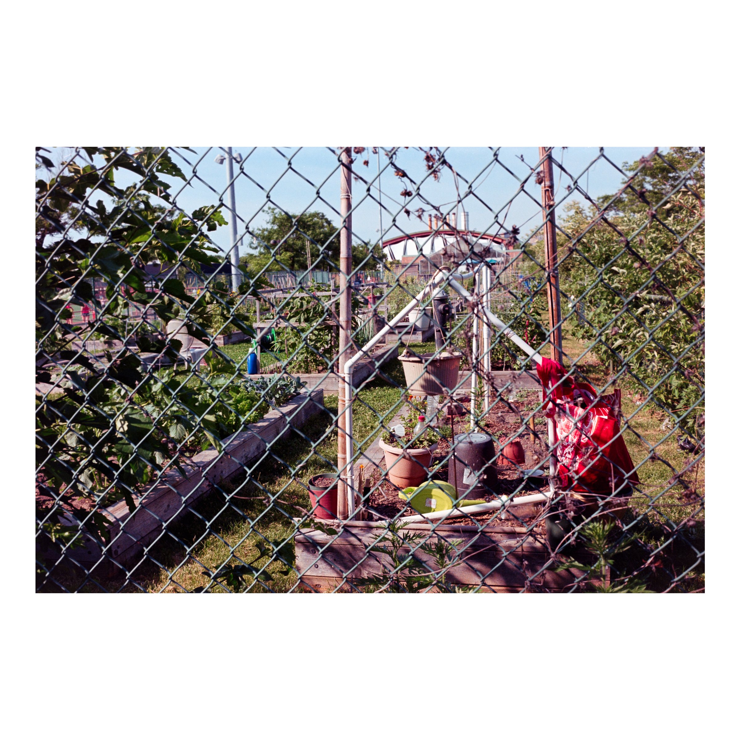 RiverbankGardenFence2026.jpg