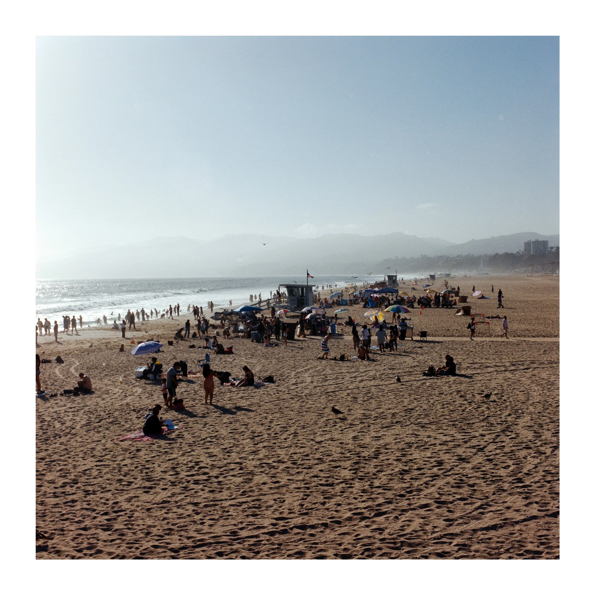 LAVeniceBeach2026.jpg
