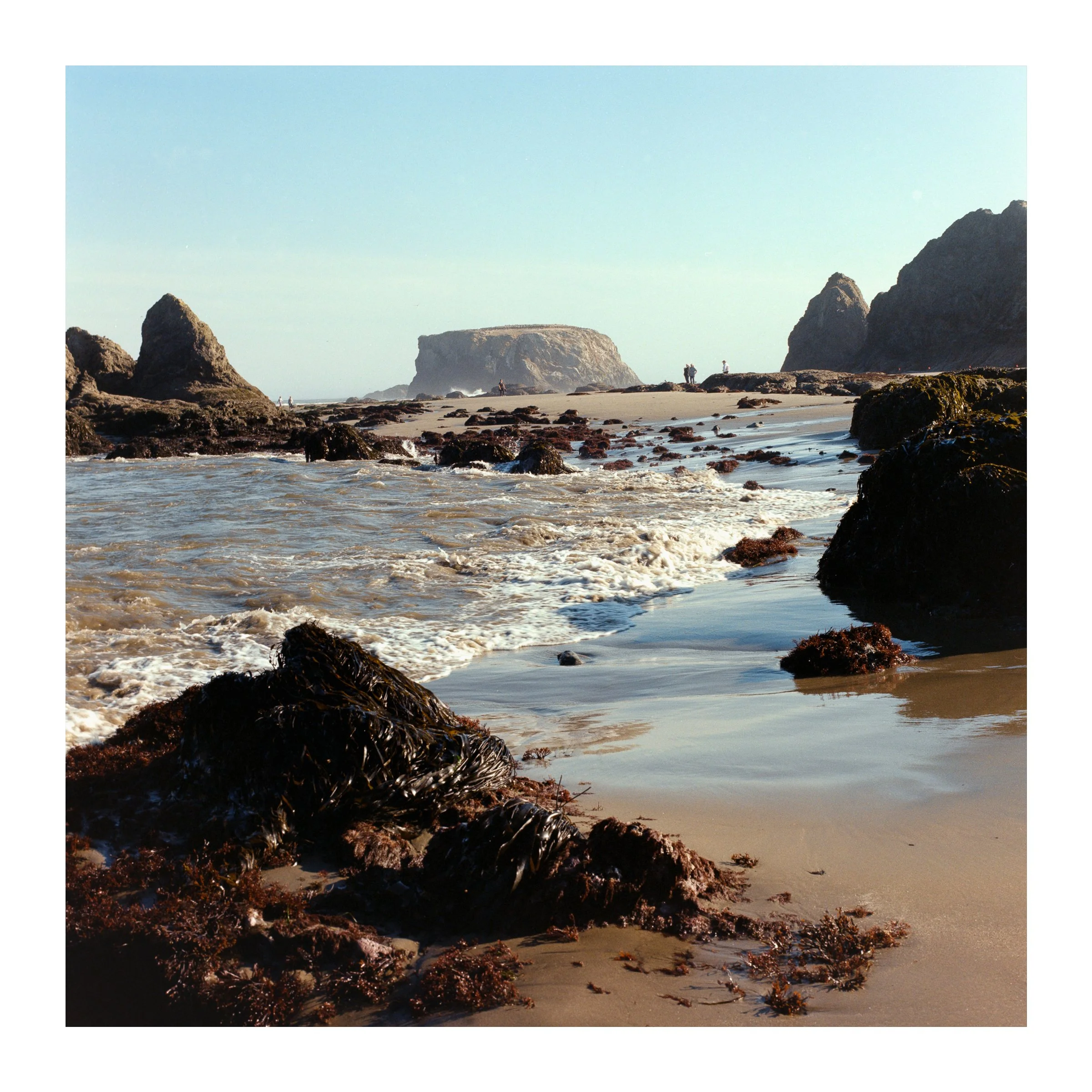 BandonBeachTidepooling2026.jpg