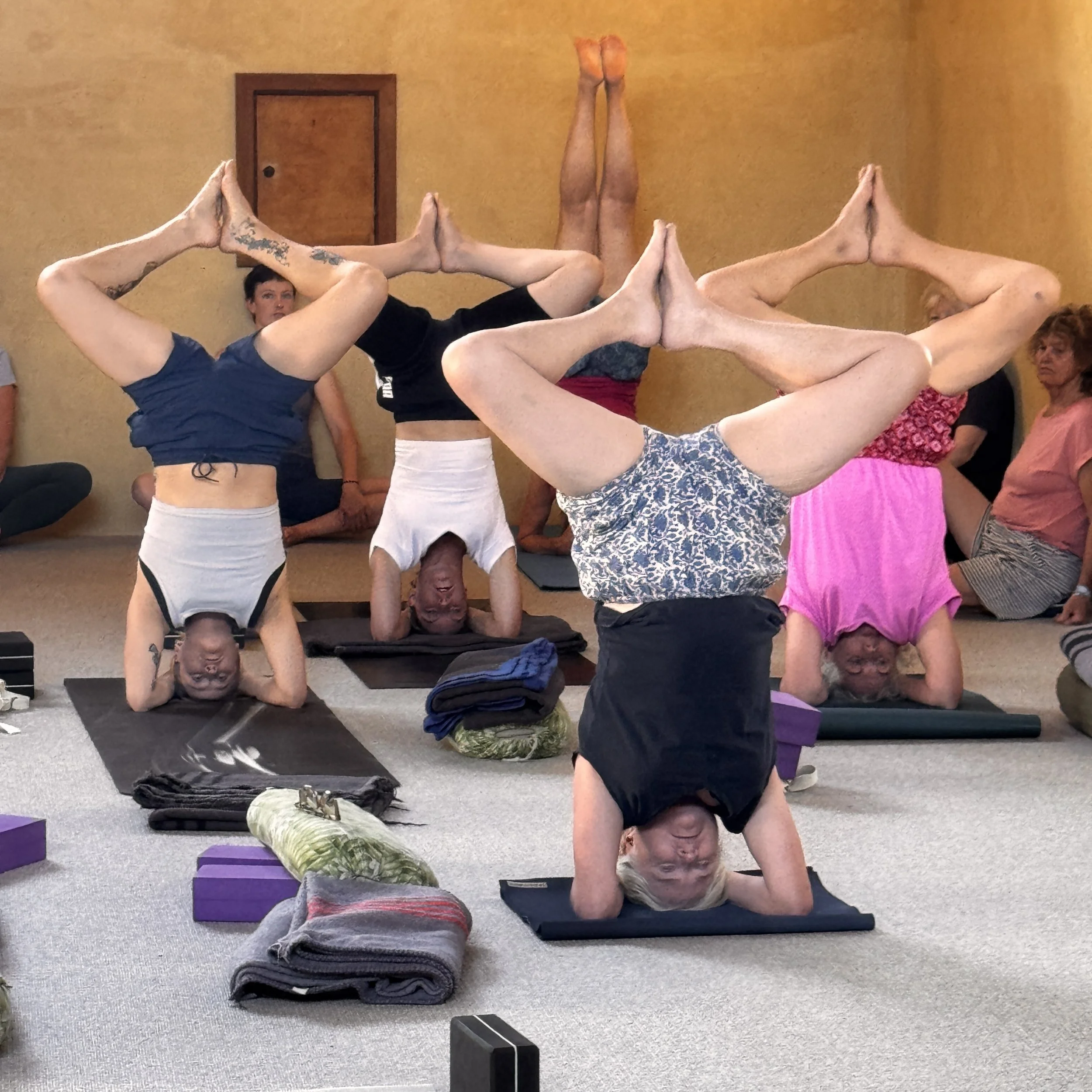 Winter Vitality | Ashram Practice Immersion