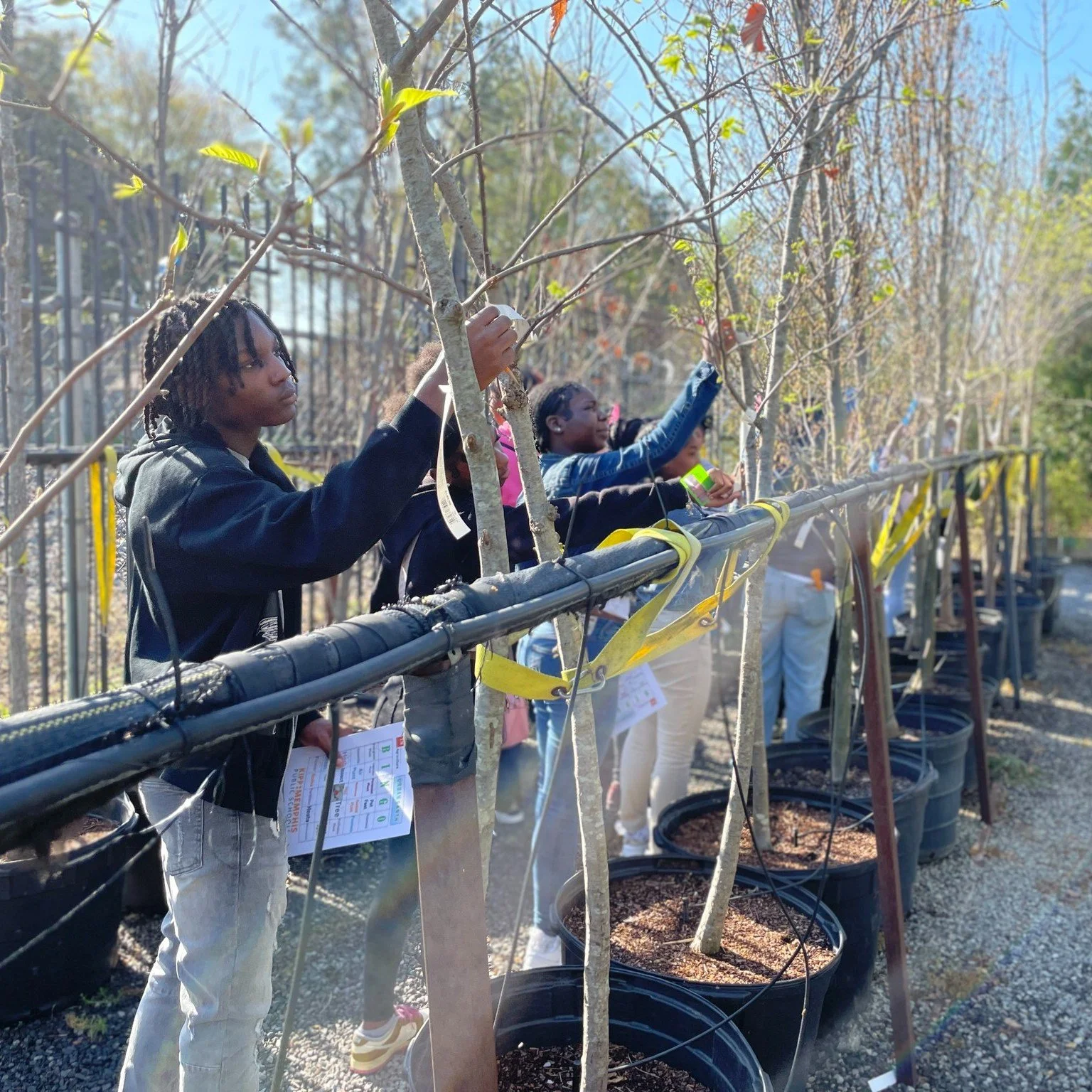 Learning goes beyond the classroom at KIPP Memphis.

Through a day-in-the-life experience with plant inspector @lisapostlawhead from the Tennessee Department of Agriculture, our STEM scholars explored how science, agriculture, and environmental care 
