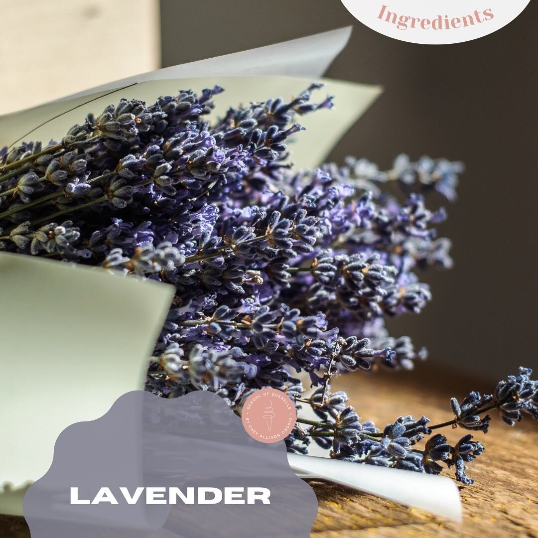 Lavender is a popular and staple herb around the world that seems to shine bright during the spring months. But did you know that it first became popular in the 17th century, used by the French royal family who believed it had digestive properties an