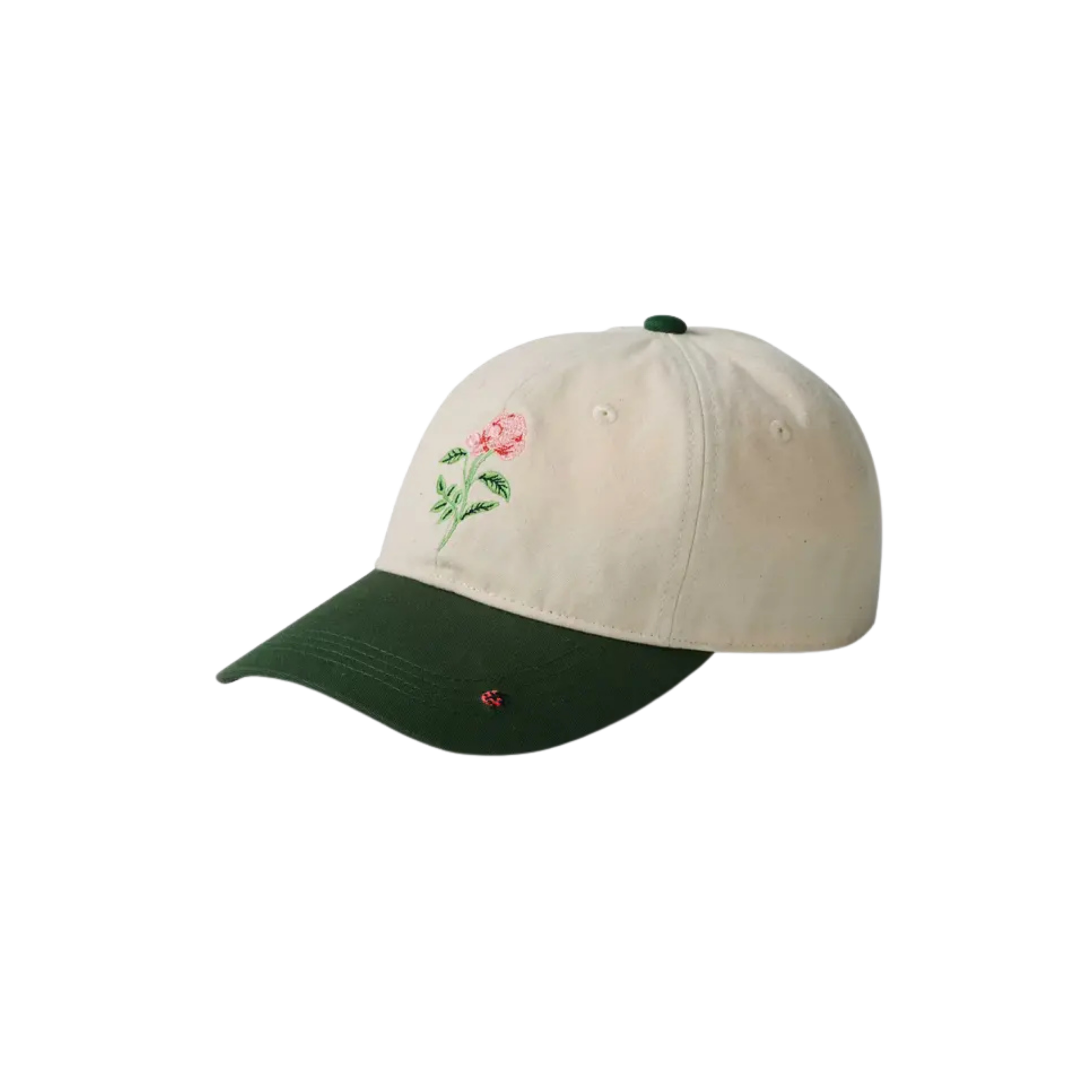 Garden Study Cap3.png