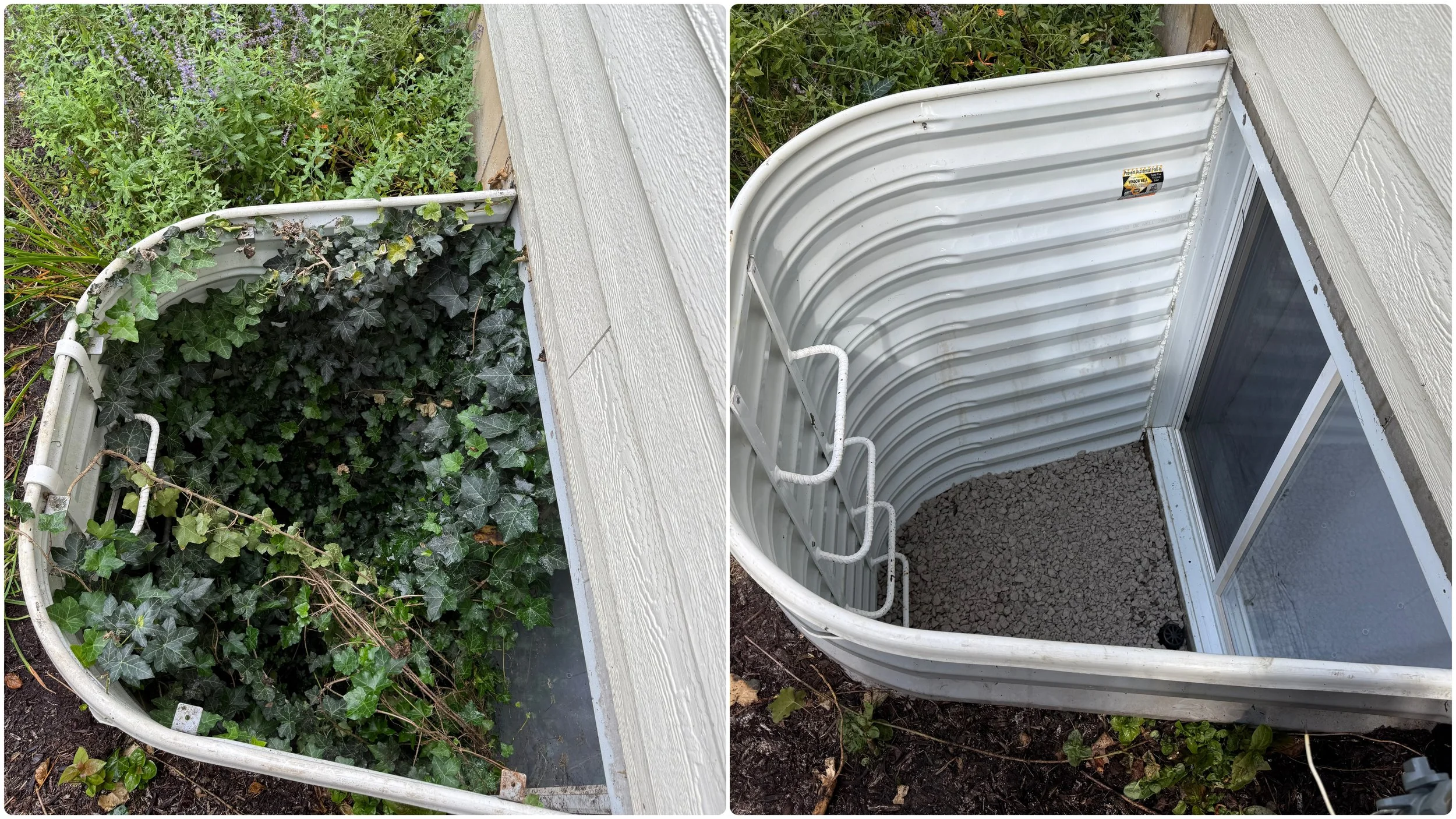 Window Well Maintenance cleaning out leaves and debris.