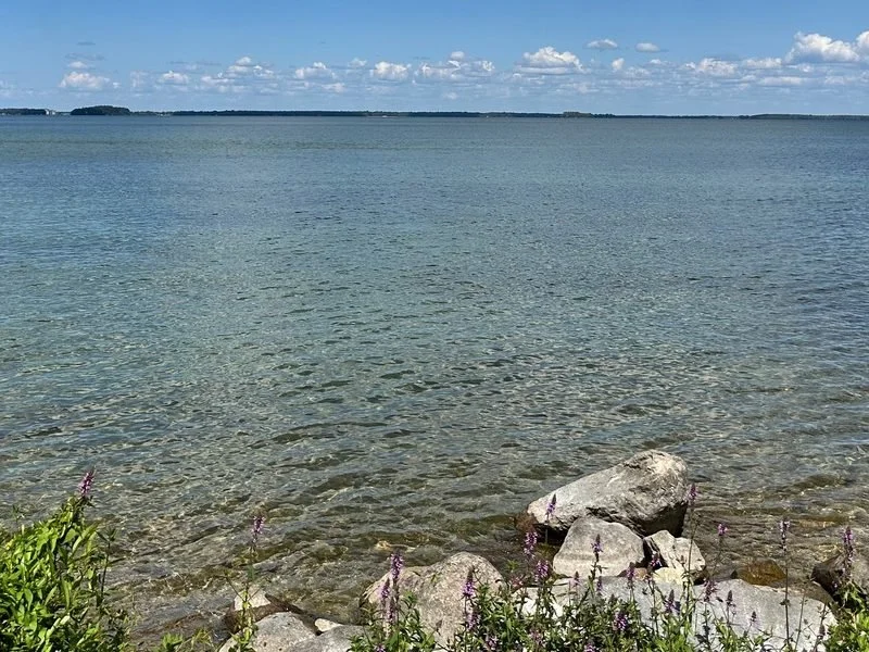 Shoreline rocks and wildflowers at the edge of an Ontario lake