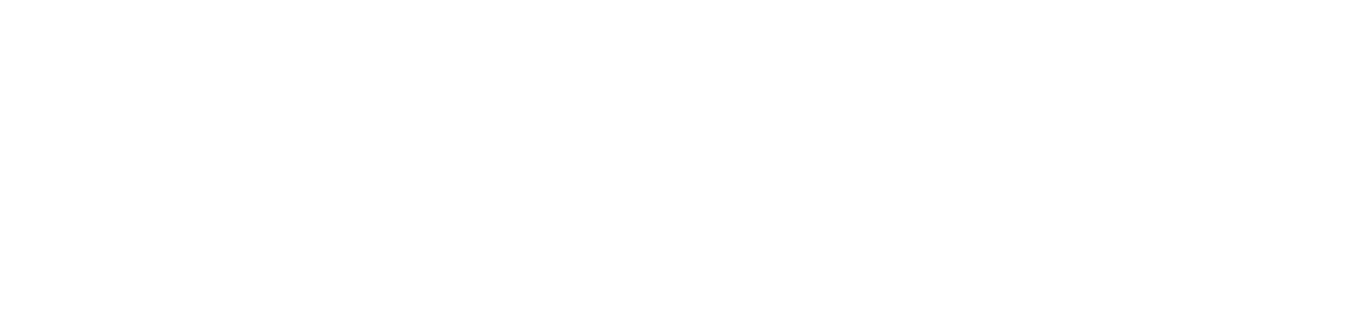 Company logo image Footer