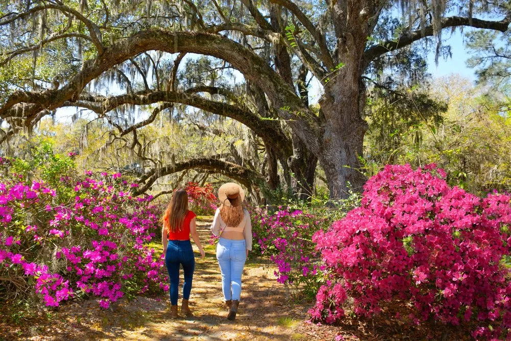 Two women walking on a path surrounded by flowers at Magnolia Plantation &amp; Gardens