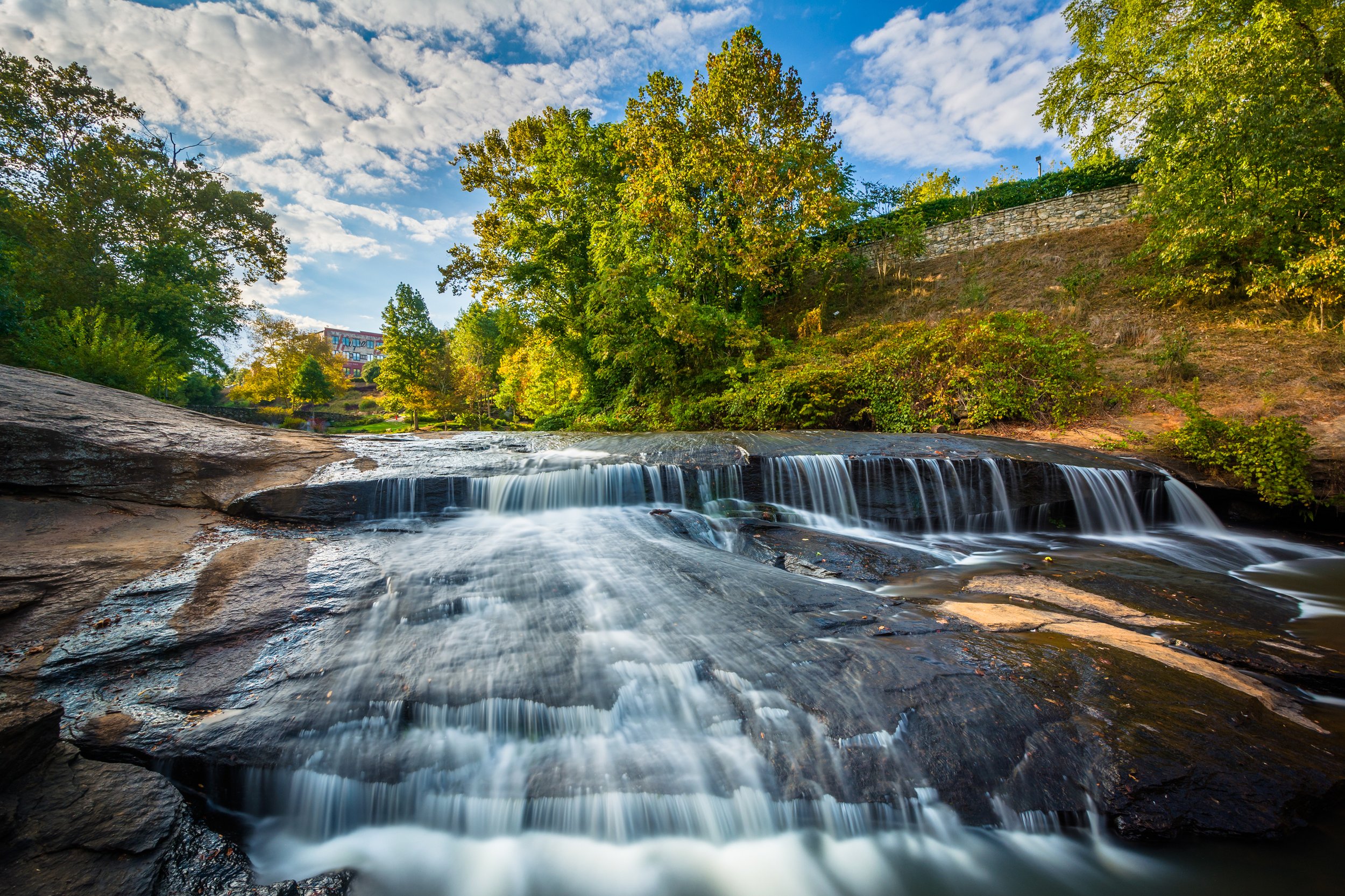 The namesake waterfall and river of Falls Park on the Reedy flowing through a dense forest