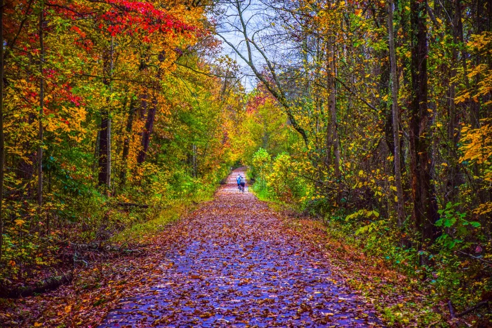 People cycling through the Swamp Rabbit Trail path